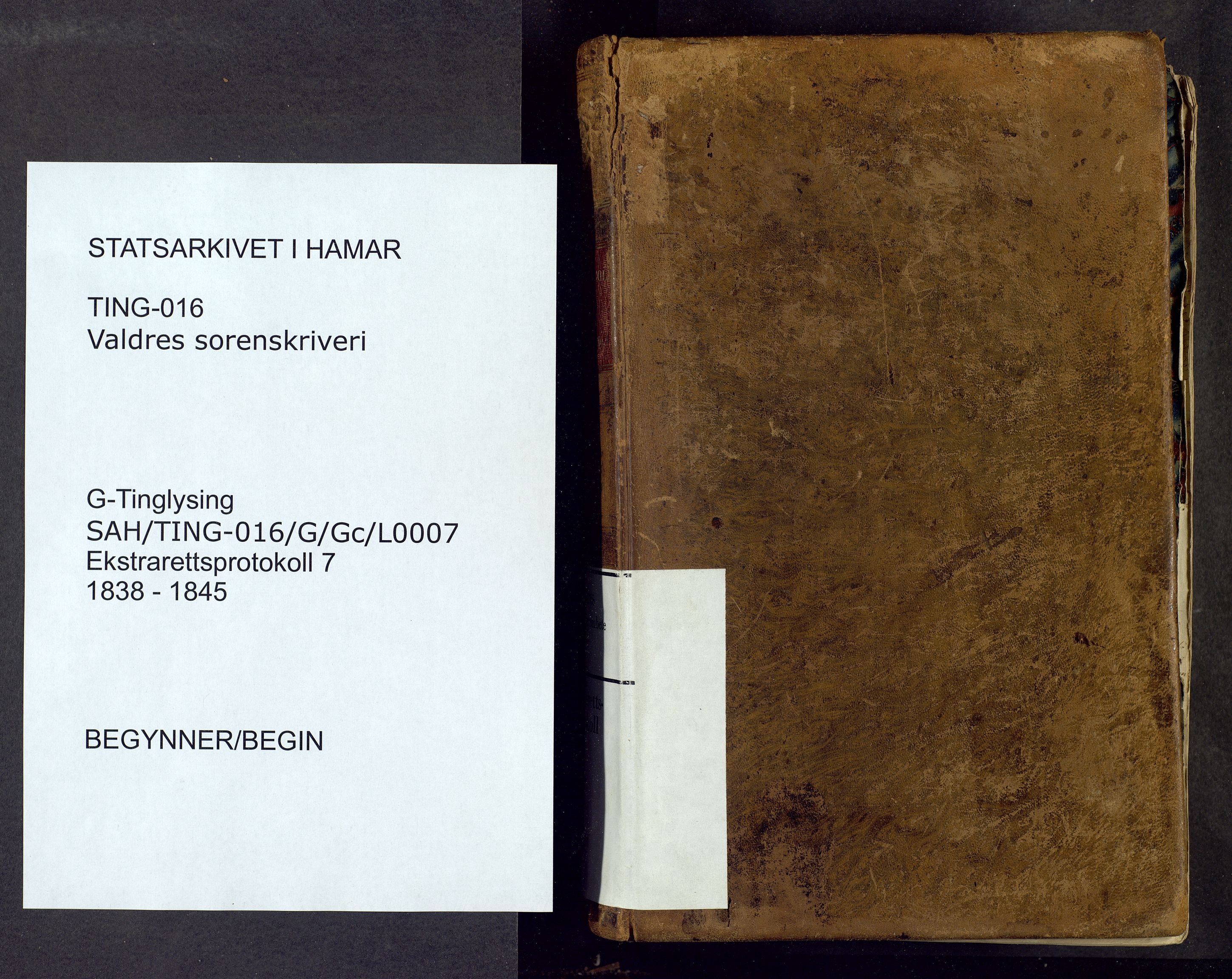 Valdres sorenskriveri, SAH/TING-016/G/Gc/L0007: Ekstrarettsprotokoll, 1838-1845