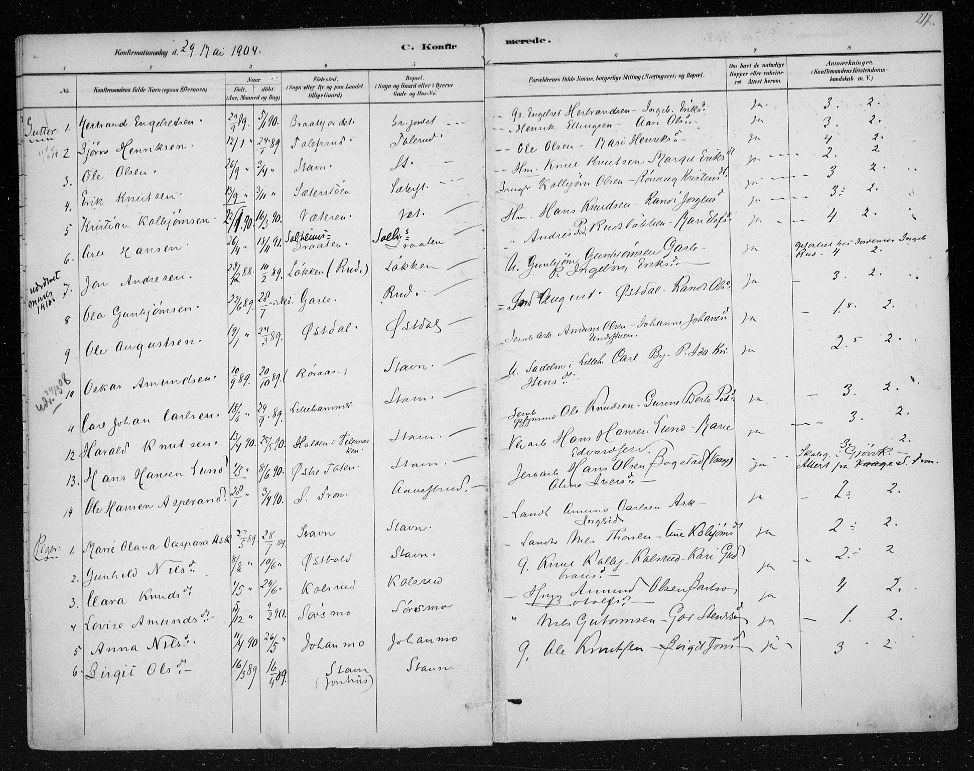 Nes kirkebøker, SAKO/A-236/F/Fa/L0012: Parish register (official) no. 12, 1881-1917, p. 217