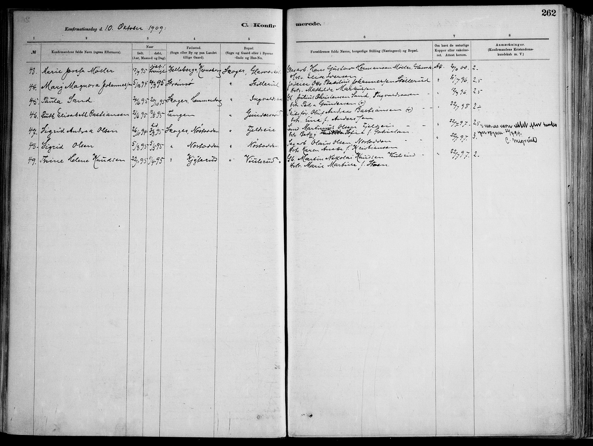 Skoger kirkebøker, AV/SAKO-A-59/F/Fa/L0006: Parish register (official) no. I 6, 1885-1910, p. 262