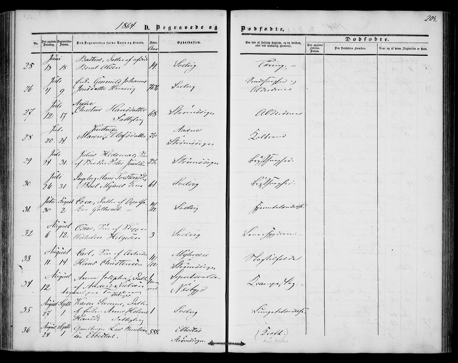 Strømm kirkebøker, AV/SAKO-A-322/F/Fa/L0001: Parish register (official) no. I 1, 1861-1869, p. 204