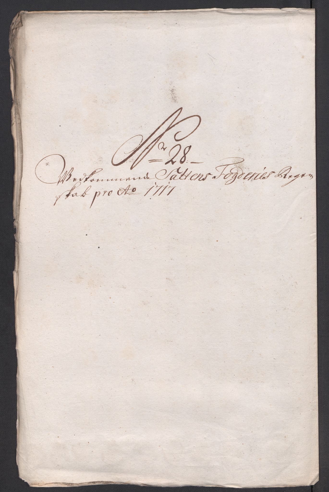 Rentekammeret inntil 1814, Reviderte regnskaper, Fogderegnskap, AV/RA-EA-4092/R66/L4587: Fogderegnskap Salten, 1717, p. 216