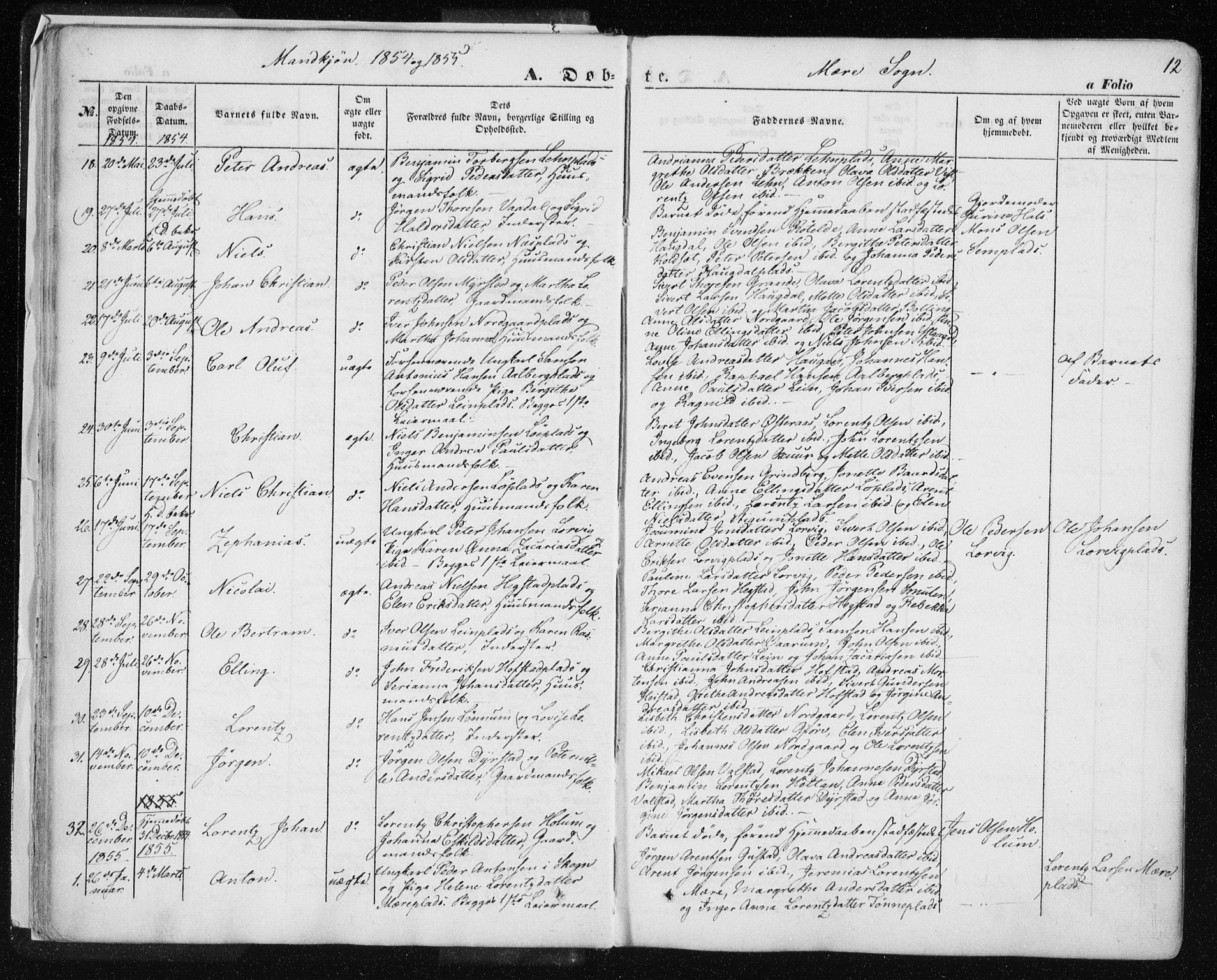 Ministerialprotokoller, klokkerbøker og fødselsregistre - Nord-Trøndelag, SAT/A-1458/735/L0342: Parish register (official) no. 735A07 /1, 1849-1862, p. 12