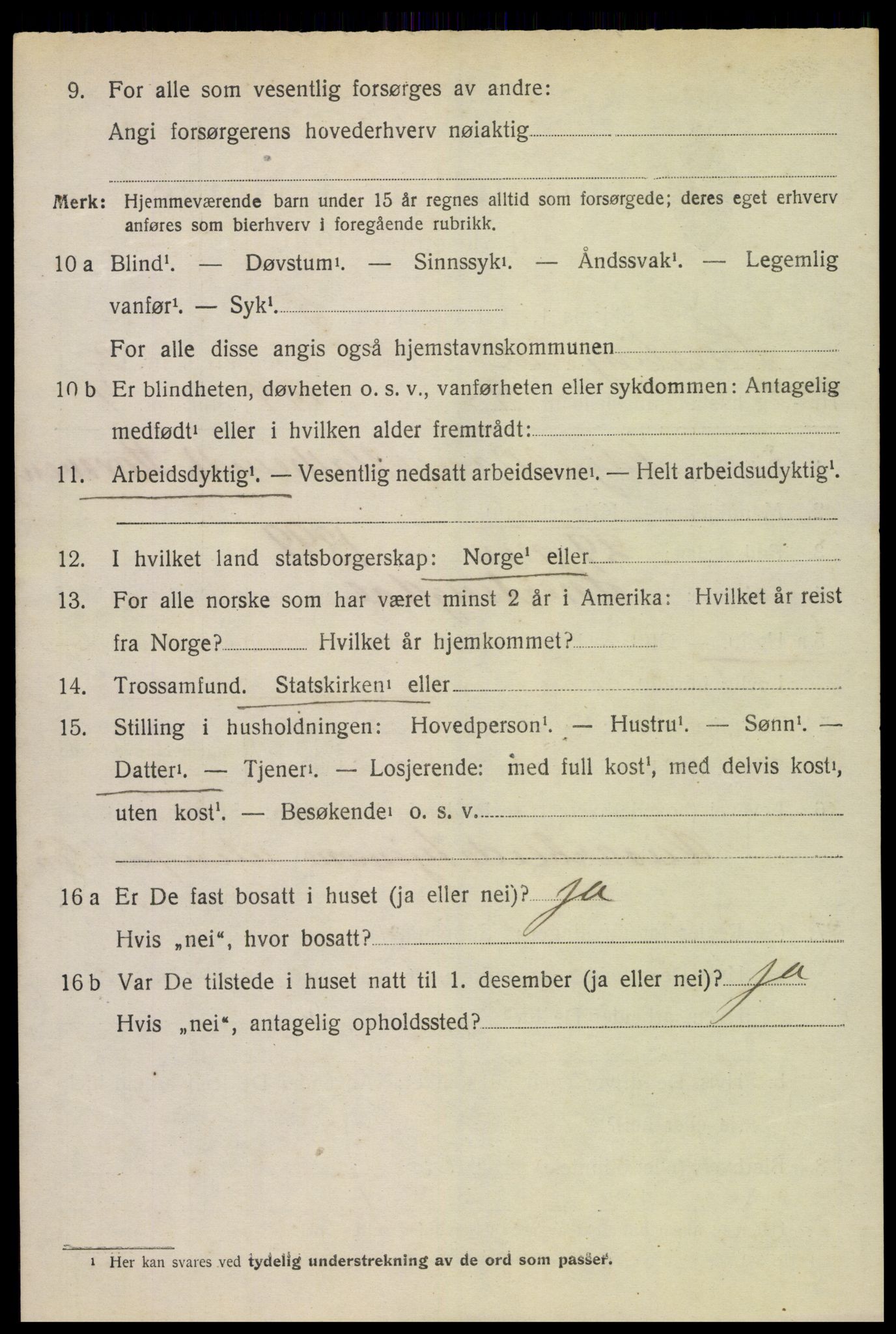 SAH, 1920 census for Snertingdal, 1920, p. 2596