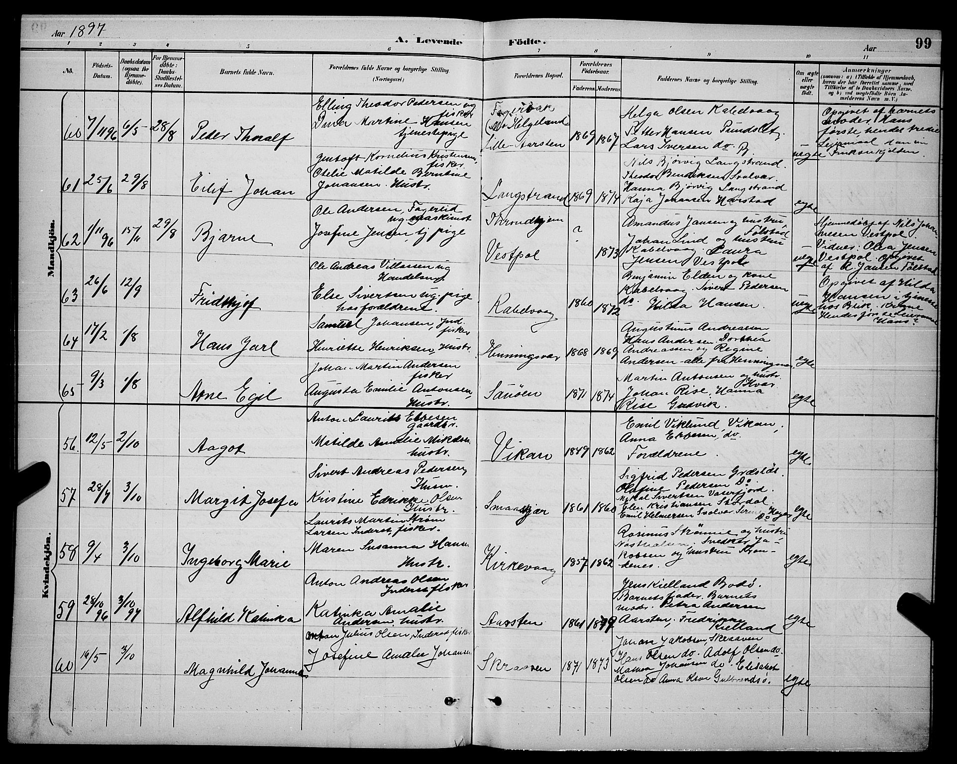 Ministerialprotokoller, klokkerbøker og fødselsregistre - Nordland, AV/SAT-A-1459/874/L1077: Parish register (copy) no. 874C06, 1891-1900, p. 99