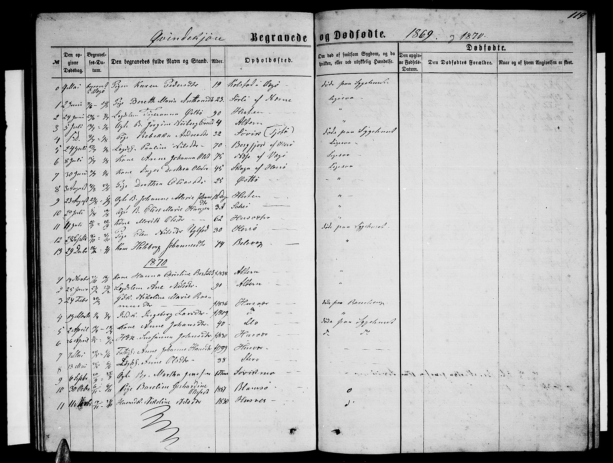 Ministerialprotokoller, klokkerbøker og fødselsregistre - Nordland, SAT/A-1459/830/L0461: Parish register (copy) no. 830C03, 1866-1881, p. 119