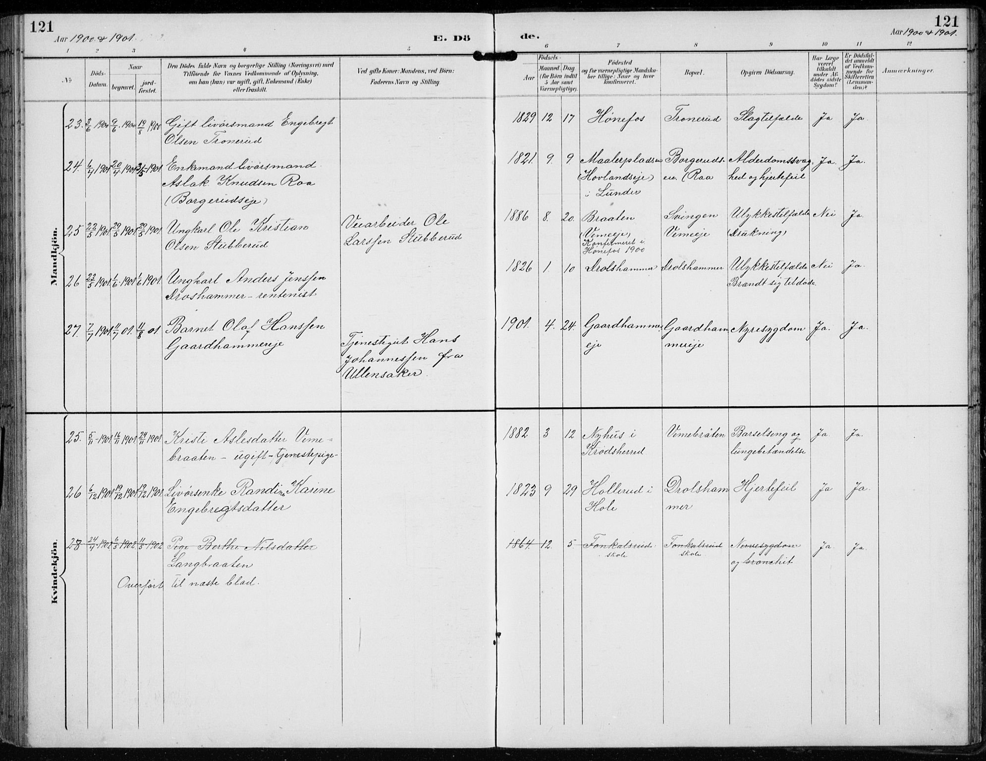 Lunder kirkebøker, AV/SAKO-A-629/F/Fb/L0001: Parish register (official) no. II 1, 1893-1916, p. 121