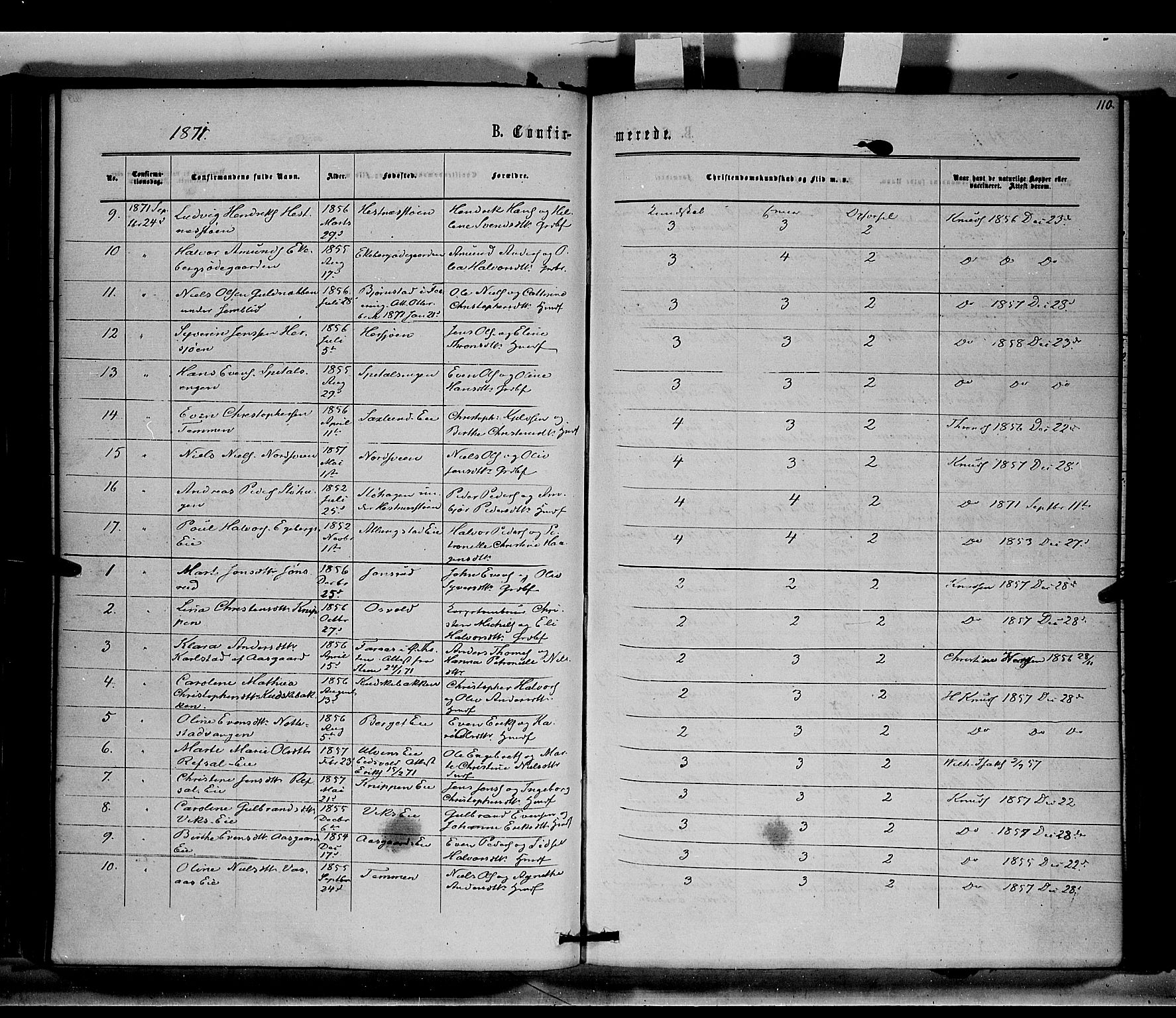 Stange prestekontor, AV/SAH-PREST-002/K/L0014: Parish register (official) no. 14, 1862-1879, p. 110