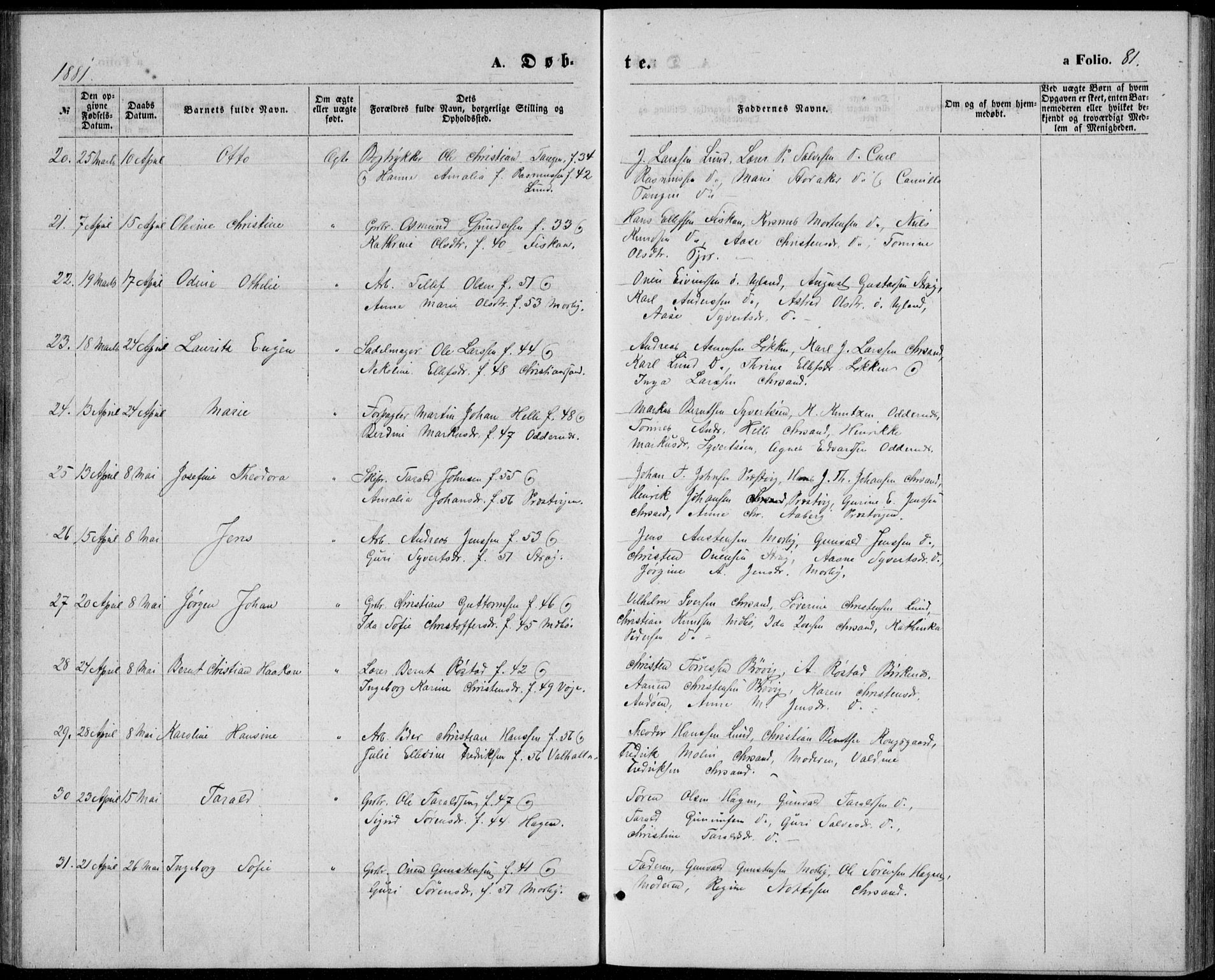 Oddernes sokneprestkontor, AV/SAK-1111-0033/F/Fb/Fba/L0007: Parish register (copy) no. B 7, 1869-1887, p. 81