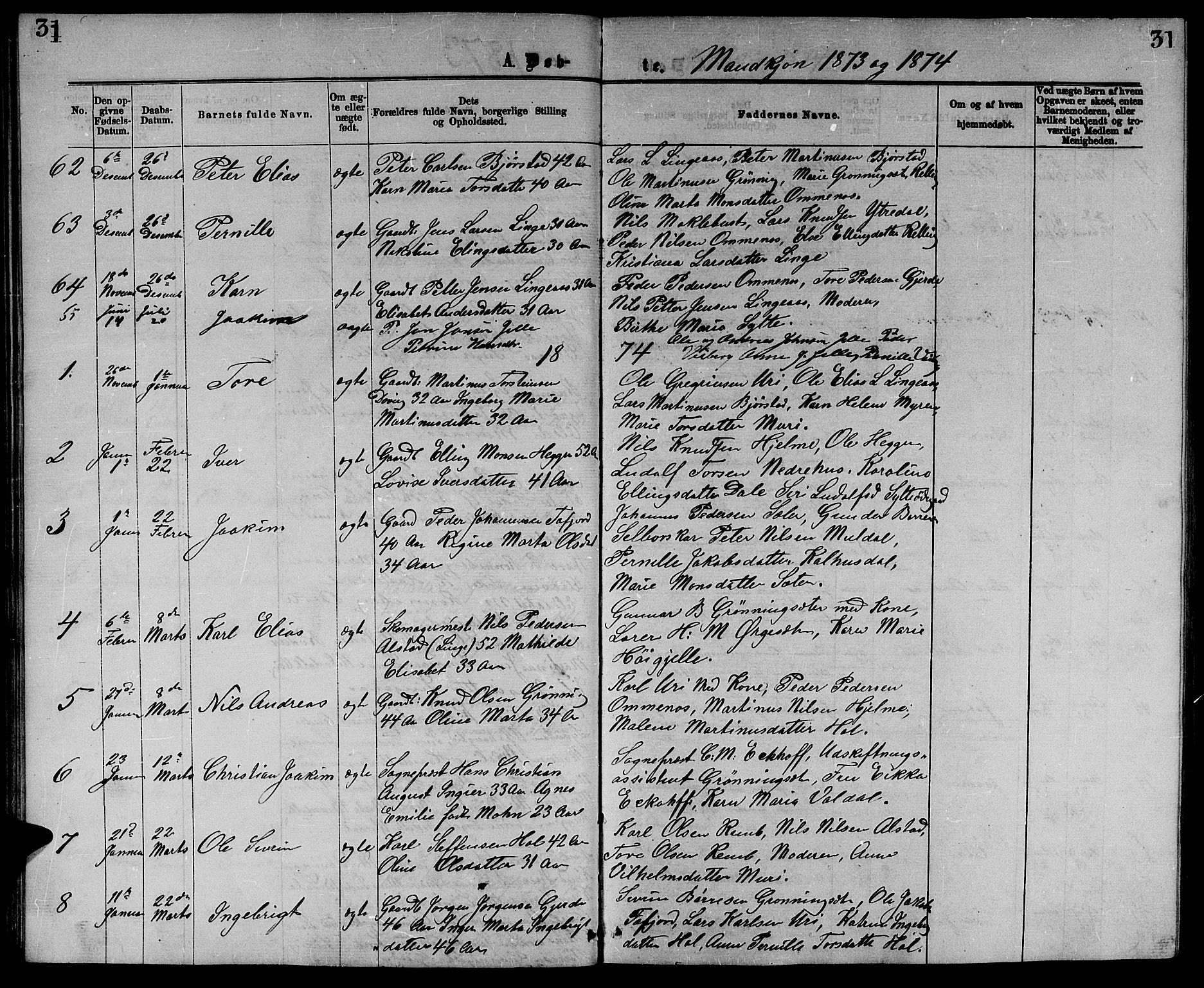 Ministerialprotokoller, klokkerbøker og fødselsregistre - Møre og Romsdal, SAT/A-1454/519/L0262: Parish register (copy) no. 519C03, 1866-1884, p. 31