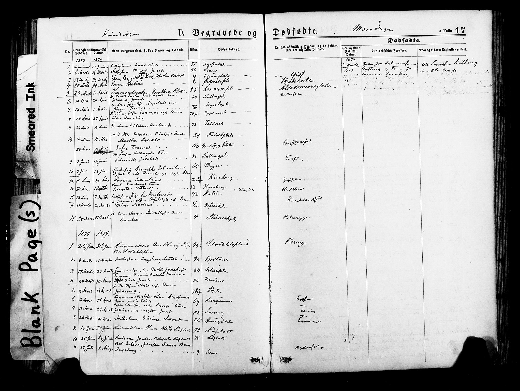 Ministerialprotokoller, klokkerbøker og fødselsregistre - Nord-Trøndelag, SAT/A-1458/735/L0348: Parish register (official) no. 735A09 /1, 1873-1883, p. 17