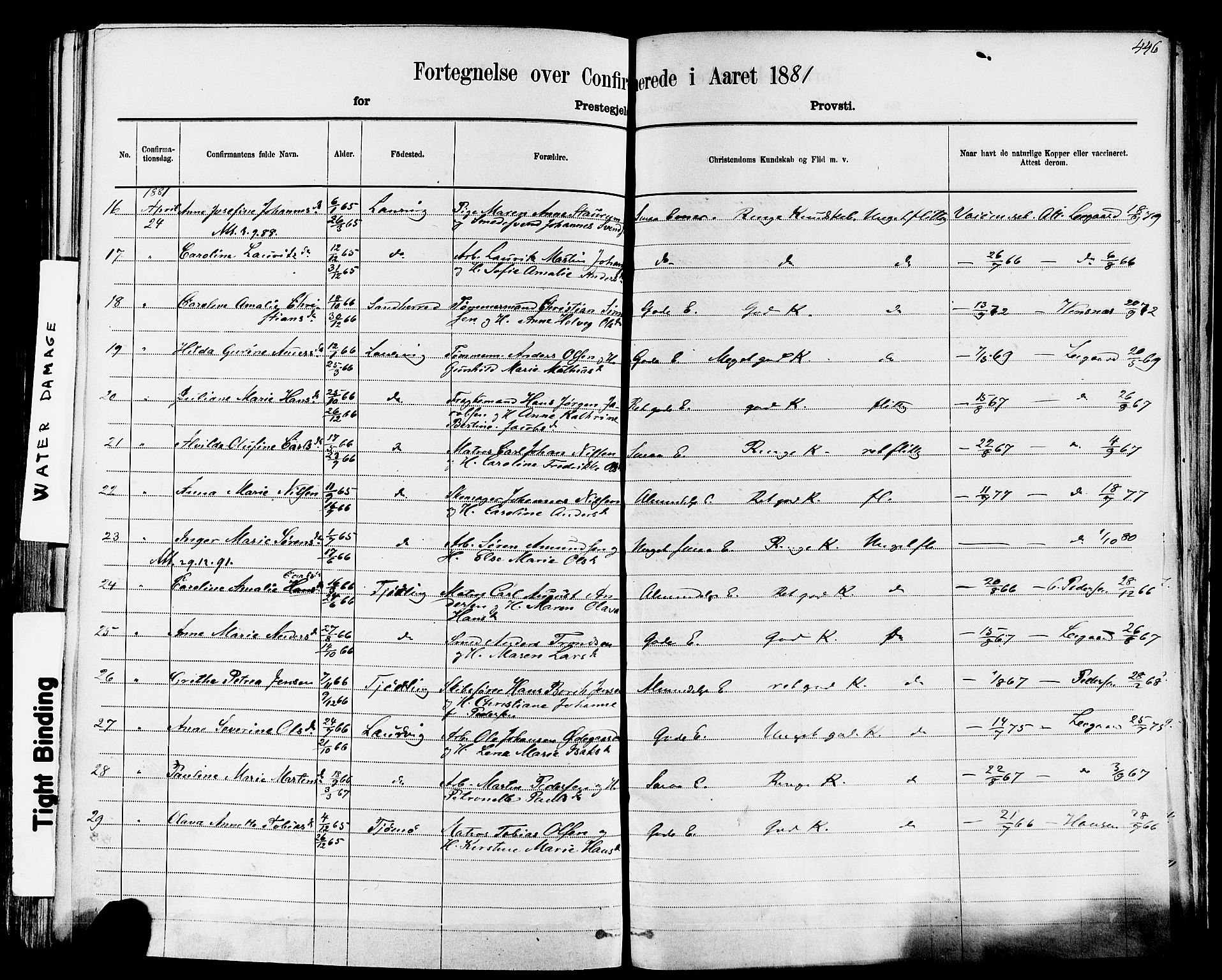 Larvik kirkebøker, AV/SAKO-A-352/F/Fa/L0006: Parish register (official) no. I 6, 1871-1883, p. 446