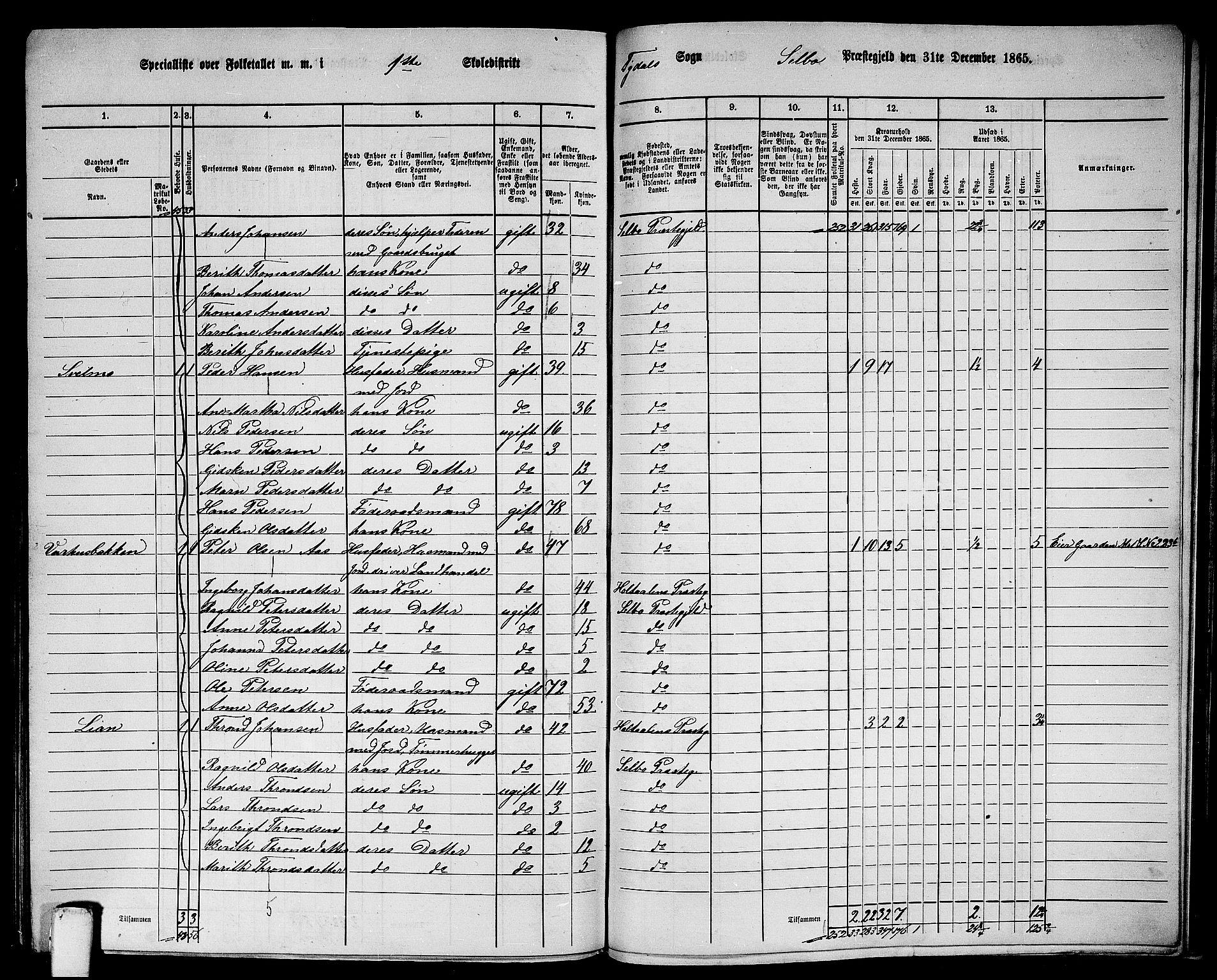 RA, 1865 census for Selbu, 1865, p. 231