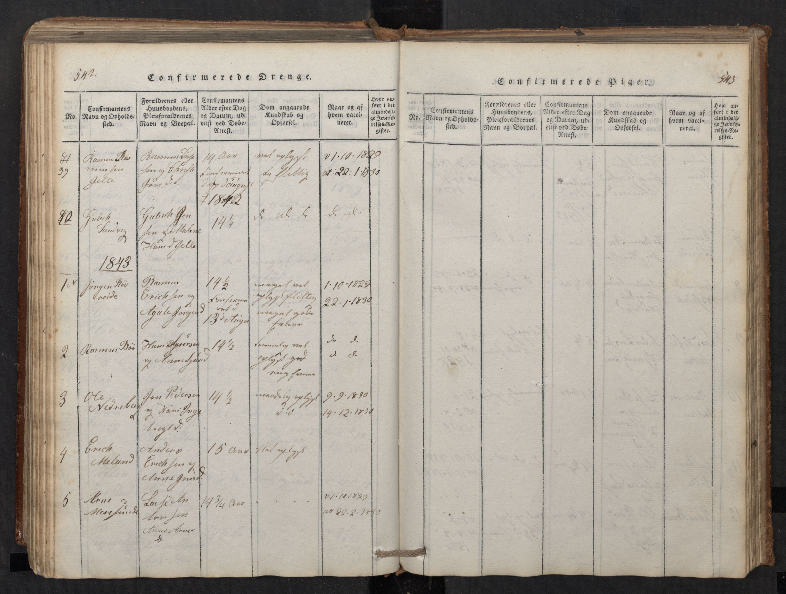 Stryn Sokneprestembete, SAB/A-82501: Parish register (copy) no. A 1, 1816-1844, p. 542-543