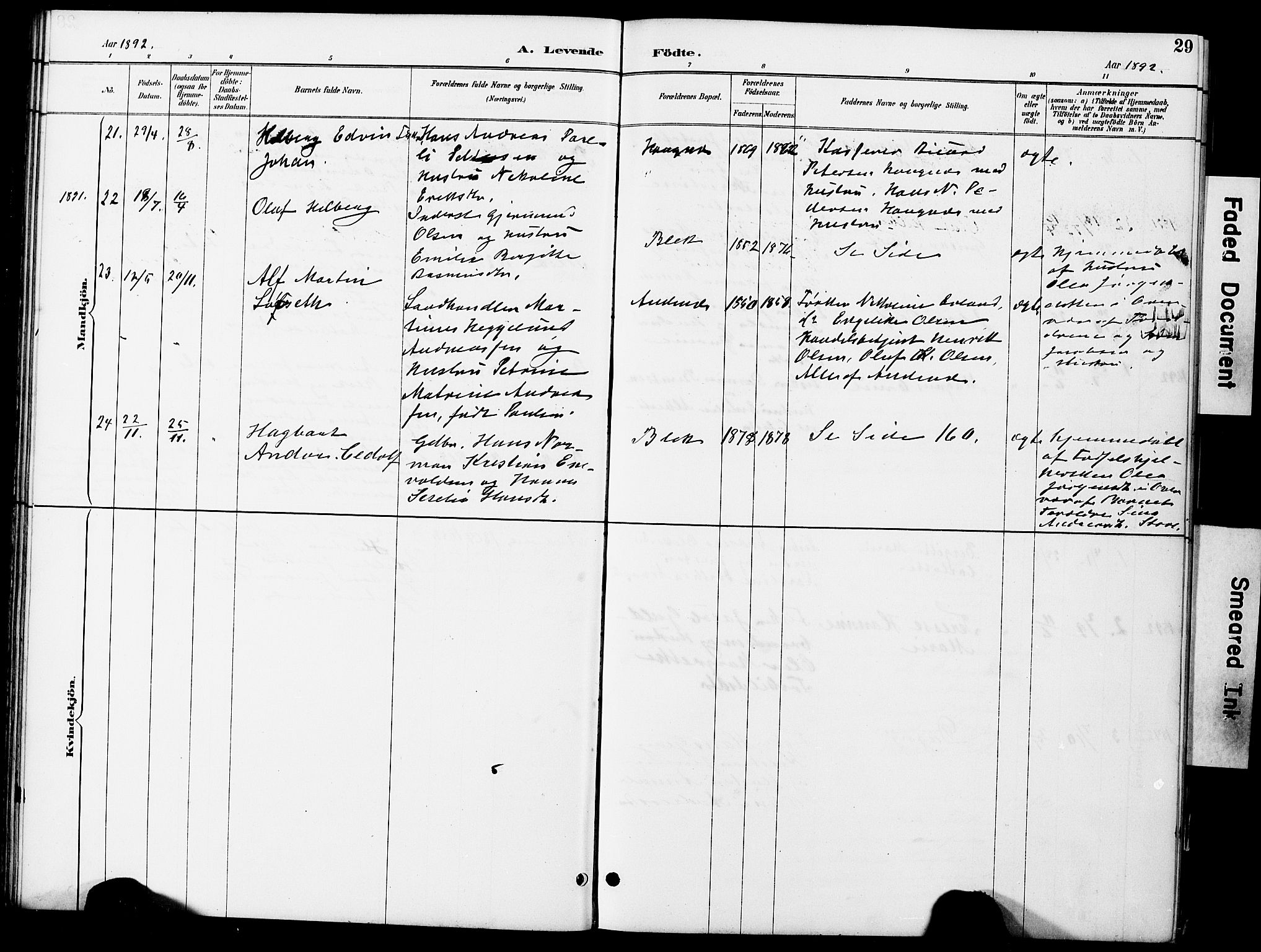 Ministerialprotokoller, klokkerbøker og fødselsregistre - Nordland, AV/SAT-A-1459/899/L1448: Parish register (copy) no. 899C03, 1887-1902, p. 29