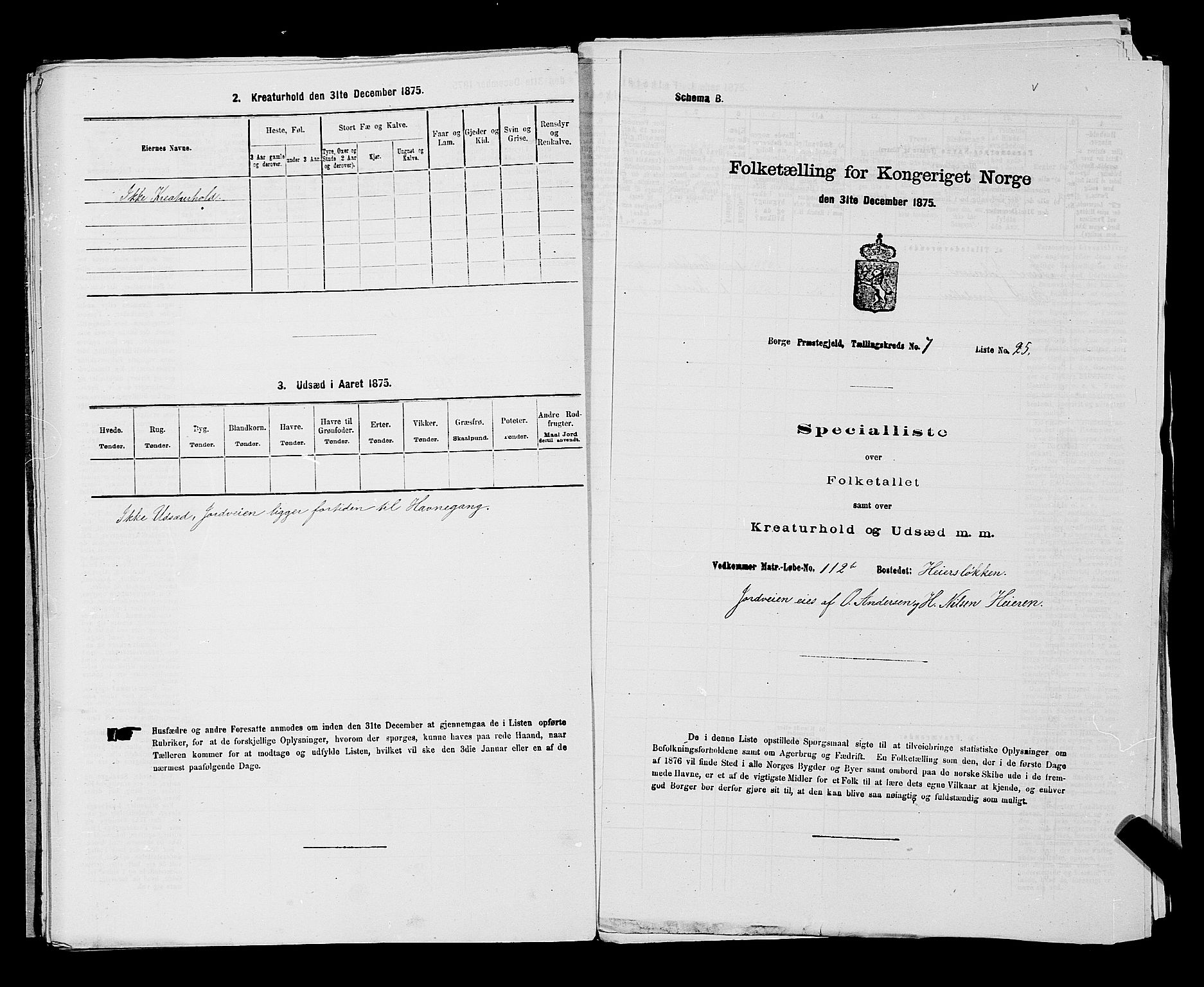 RA, 1875 census for 0113P Borge, 1875, p. 989