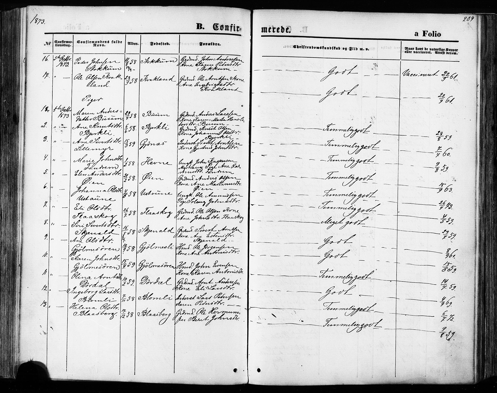 Ministerialprotokoller, klokkerbøker og fødselsregistre - Sør-Trøndelag, AV/SAT-A-1456/668/L0807: Parish register (official) no. 668A07, 1870-1880, p. 209