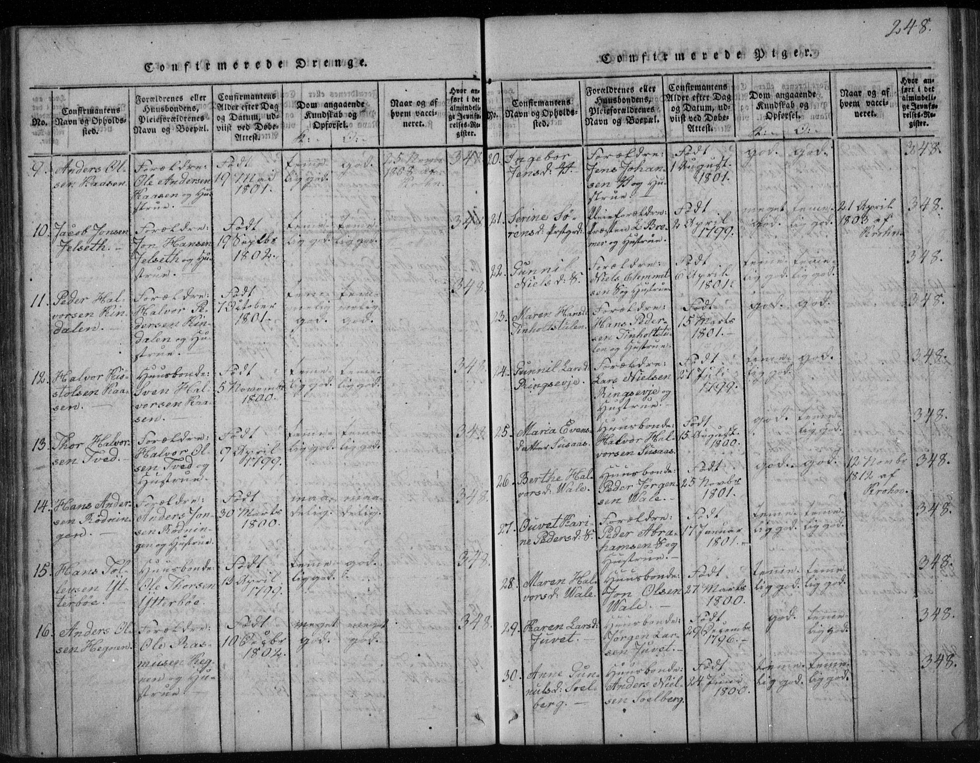 Holla kirkebøker, SAKO/A-272/F/Fa/L0003: Parish register (official) no. 3, 1815-1830, p. 248