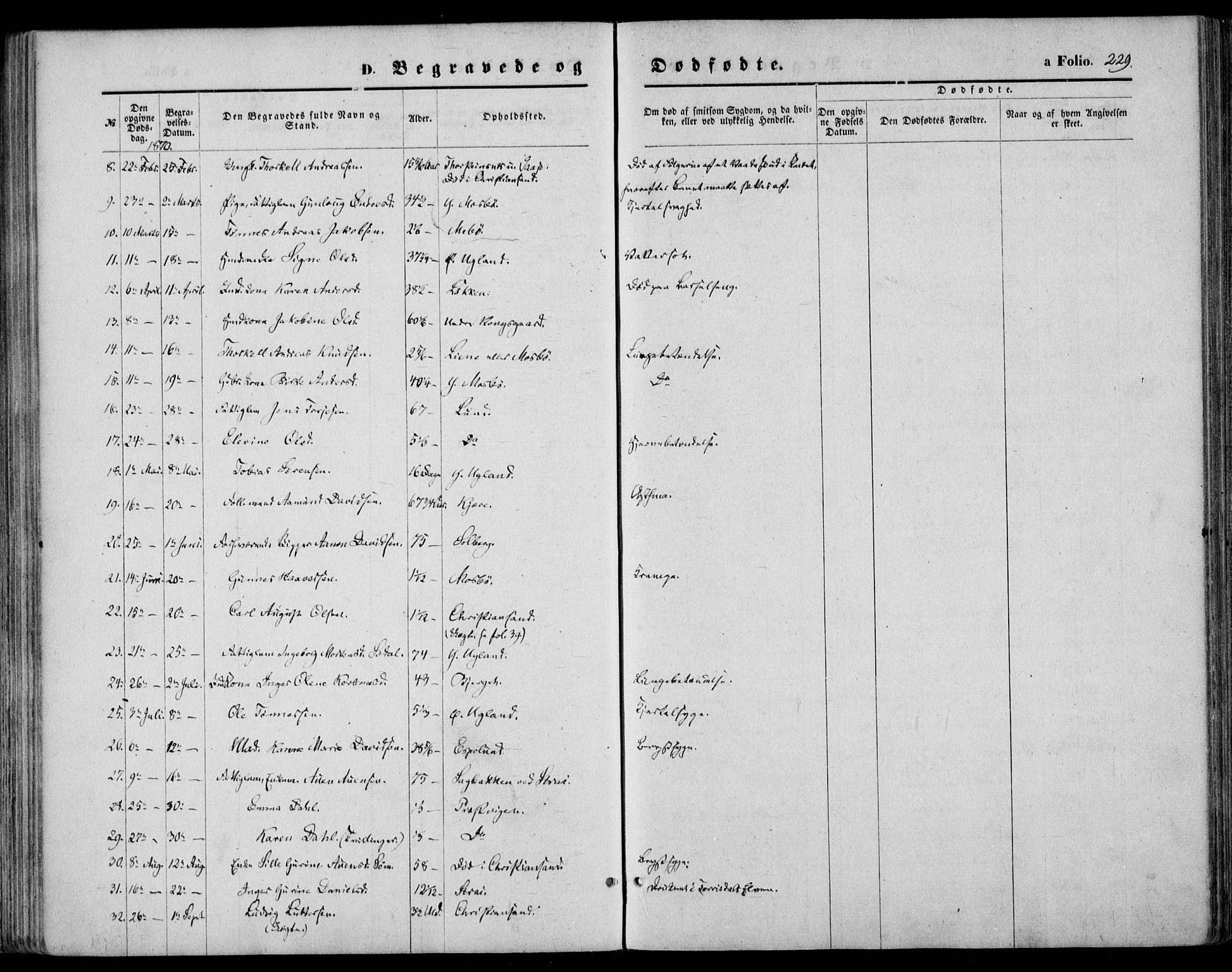 Oddernes sokneprestkontor, SAK/1111-0033/F/Fa/Faa/L0008: Parish register (official) no. A 8, 1864-1880, p. 229