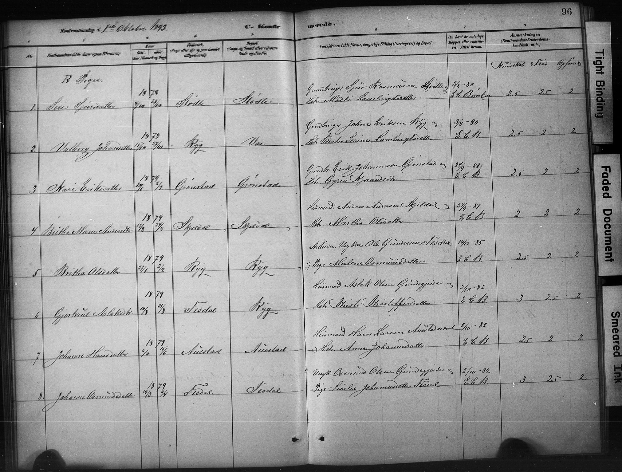 Etne sokneprestembete, SAB/A-75001/H/Hab: Parish register (copy) no. A 5, 1879-1896, p. 96