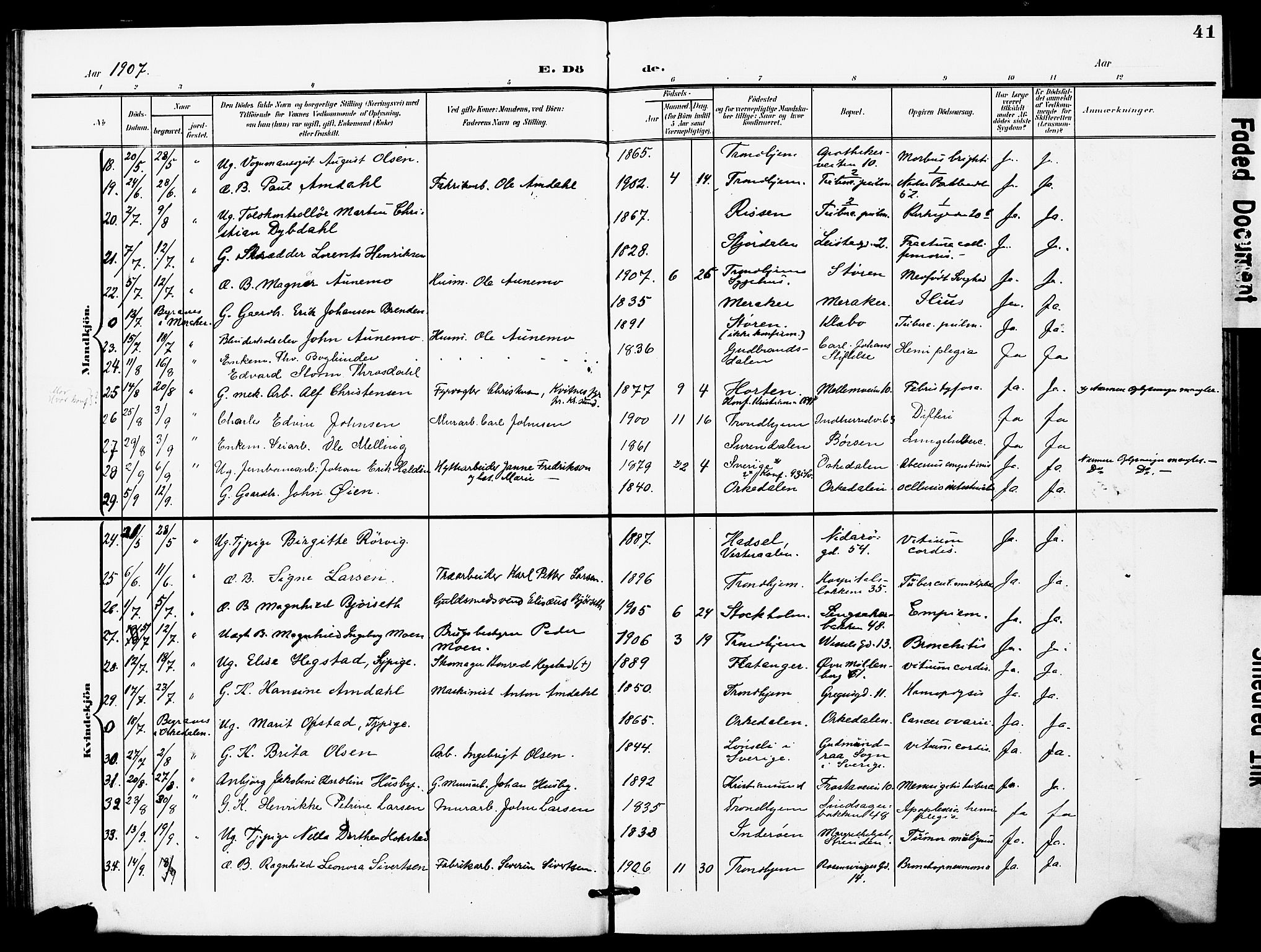 Ministerialprotokoller, klokkerbøker og fødselsregistre - Sør-Trøndelag, AV/SAT-A-1456/628/L0483: Parish register (official) no. 628A01, 1902-1920, p. 41