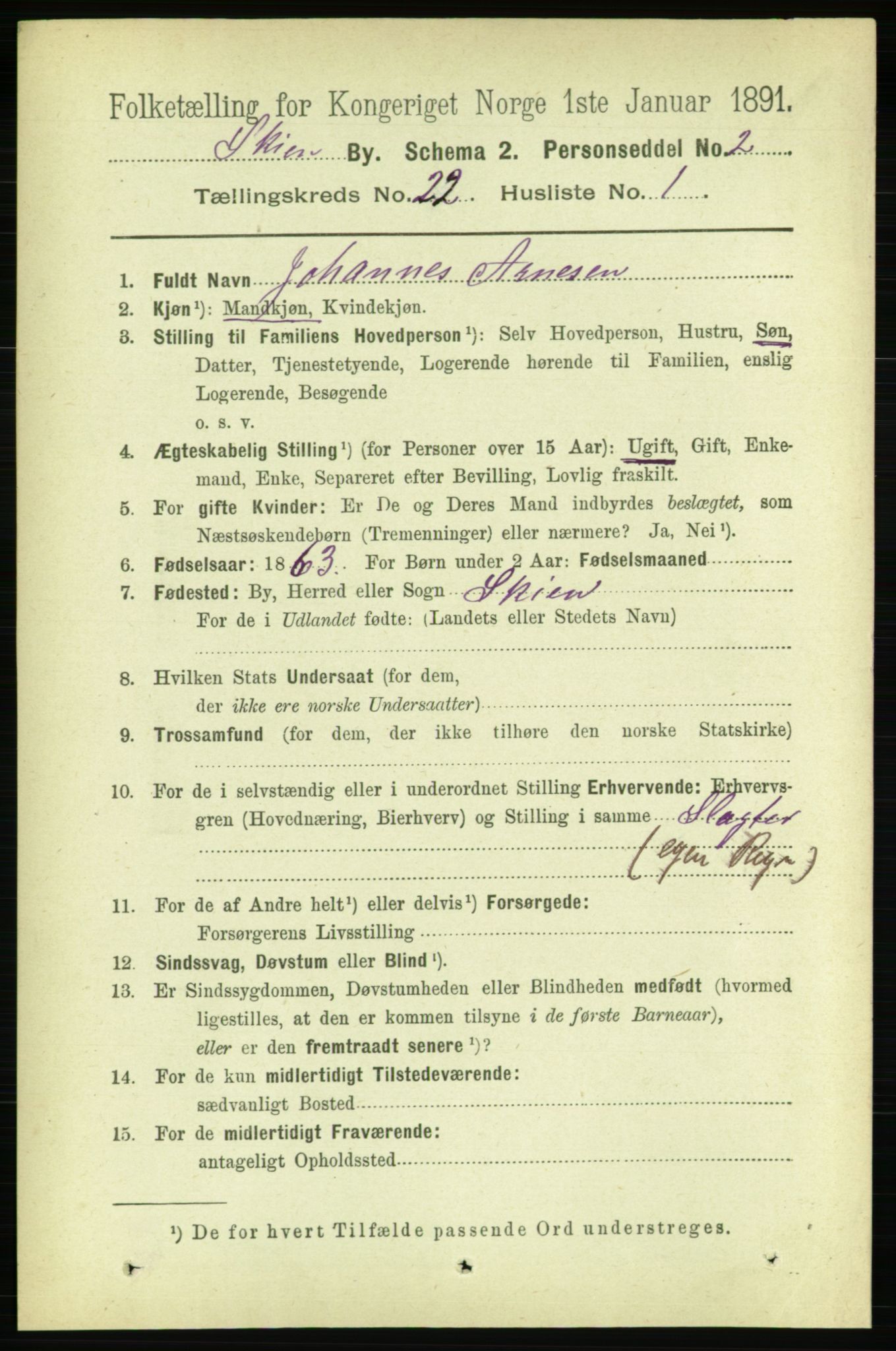 RA, 1891 census for 0806 Skien, 1891, p. 5670