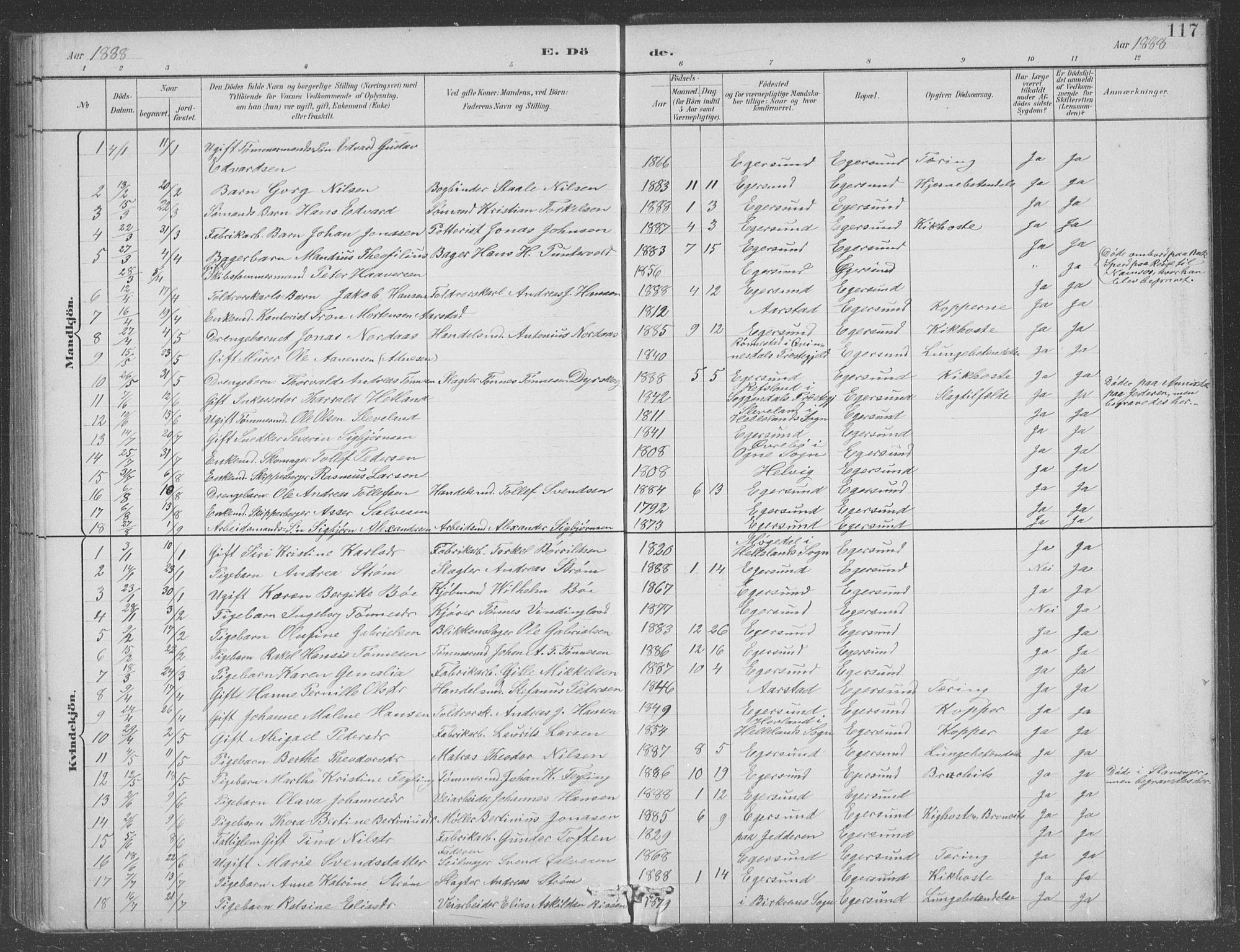 Eigersund sokneprestkontor, SAST/A-101807/S09/L0008: Parish register (copy) no. B 8, 1882-1892, p. 117