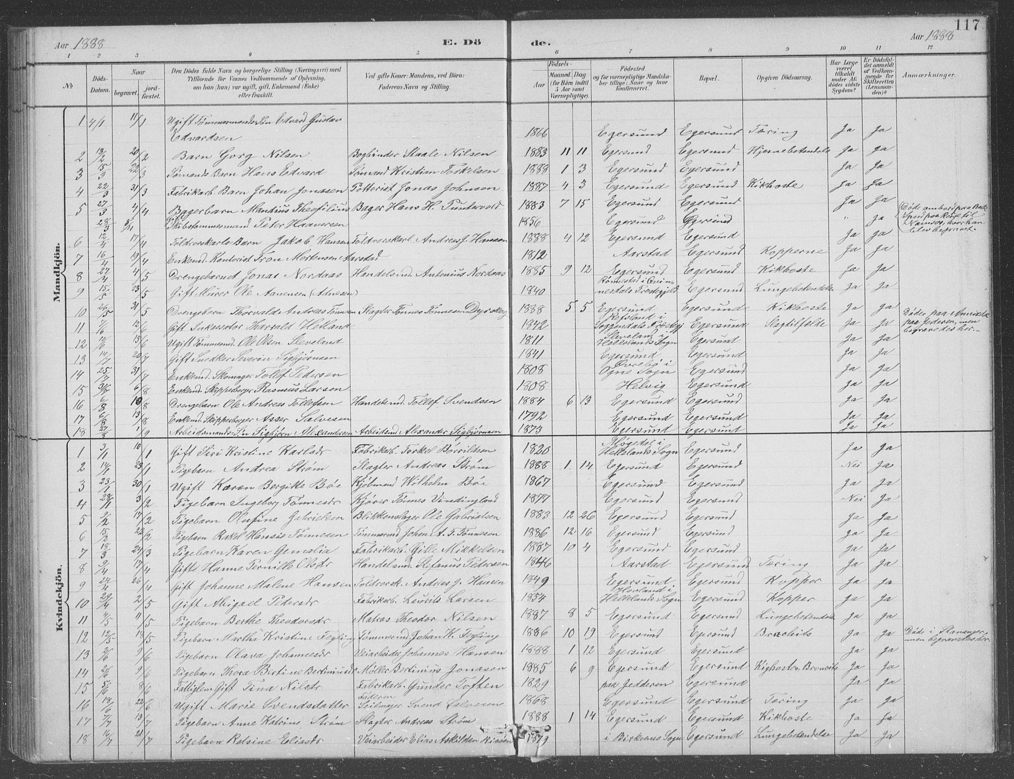 Eigersund sokneprestkontor, AV/SAST-A-101807/S09/L0008: Parish register (copy) no. B 8, 1882-1892, p. 117