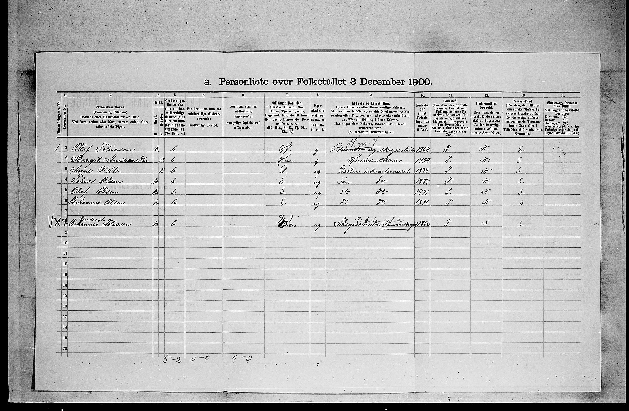 SAKO, 1900 census for Heddal, 1900, p. 1081