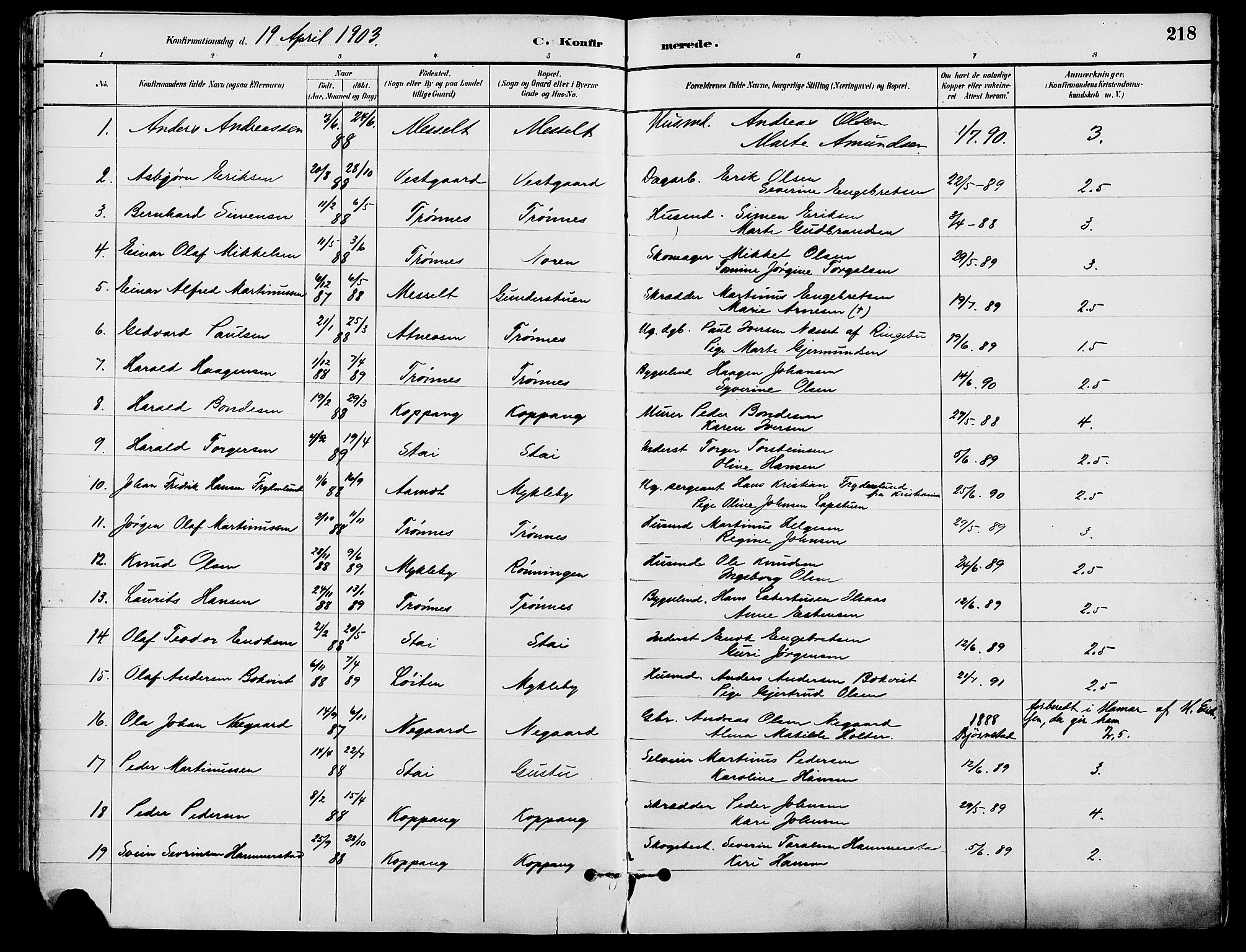 Stor-Elvdal prestekontor, SAH/PREST-052/H/Ha/Haa/L0002: Parish register (official) no. 2, 1882-1907, p. 218