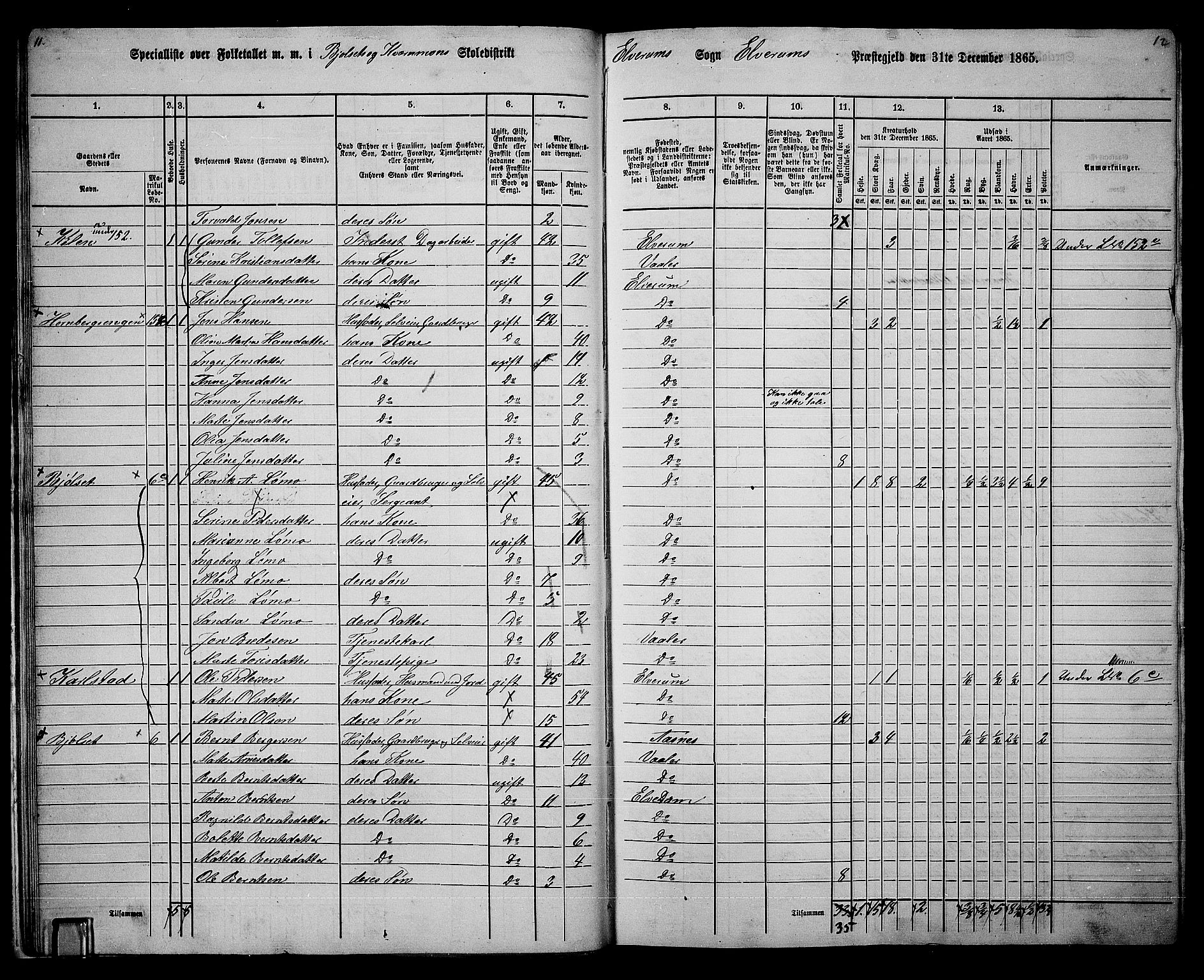 RA, 1865 census for Elverum, 1865, p. 17