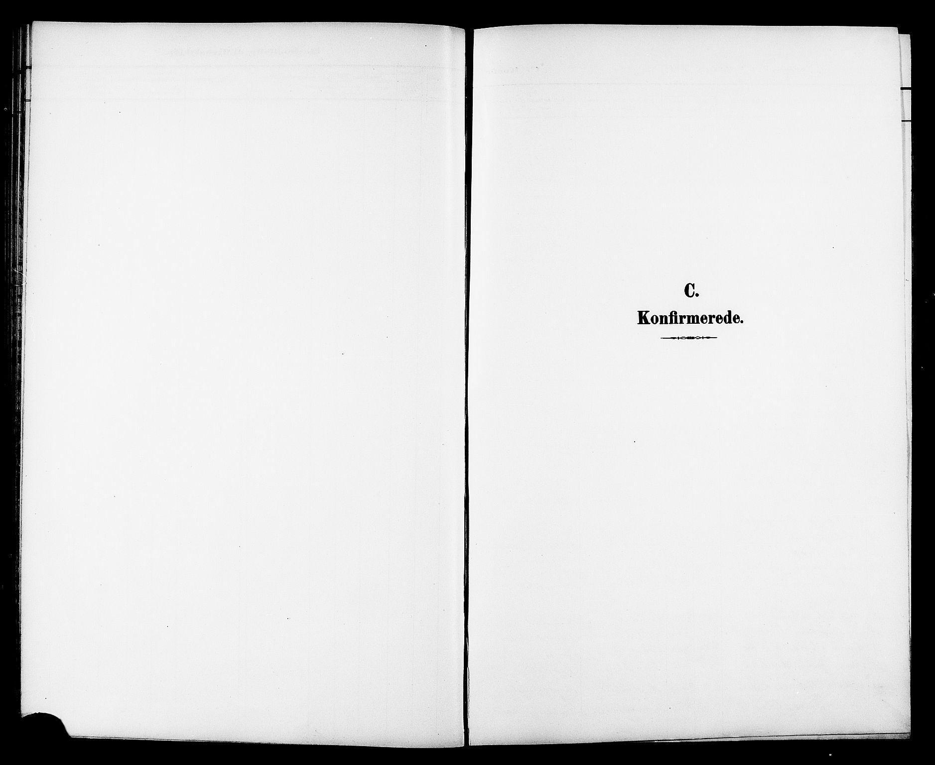 Ministerialprotokoller, klokkerbøker og fødselsregistre - Sør-Trøndelag, AV/SAT-A-1456/606/L0313: Parish register (copy) no. 606C09, 1895-1910