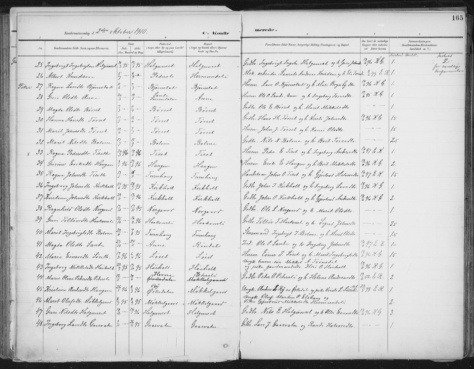 Ministerialprotokoller, klokkerbøker og fødselsregistre - Møre og Romsdal, AV/SAT-A-1454/598/L1072: Parish register (official) no. 598A06, 1896-1910, p. 165