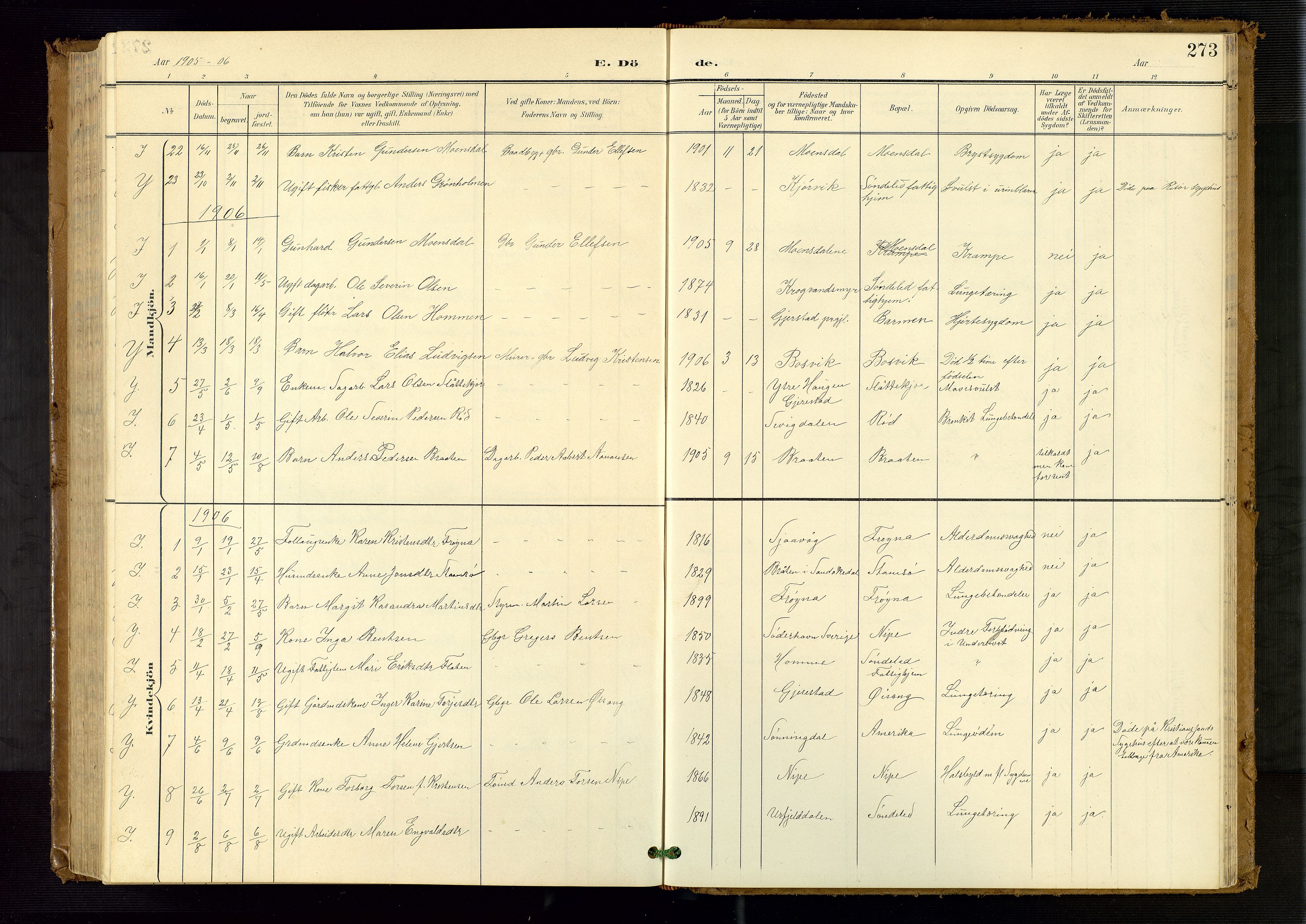 Søndeled sokneprestkontor, SAK/1111-0038/F/Fb/L0005: Parish register (copy) no. B 6, 1900-1962, p. 273