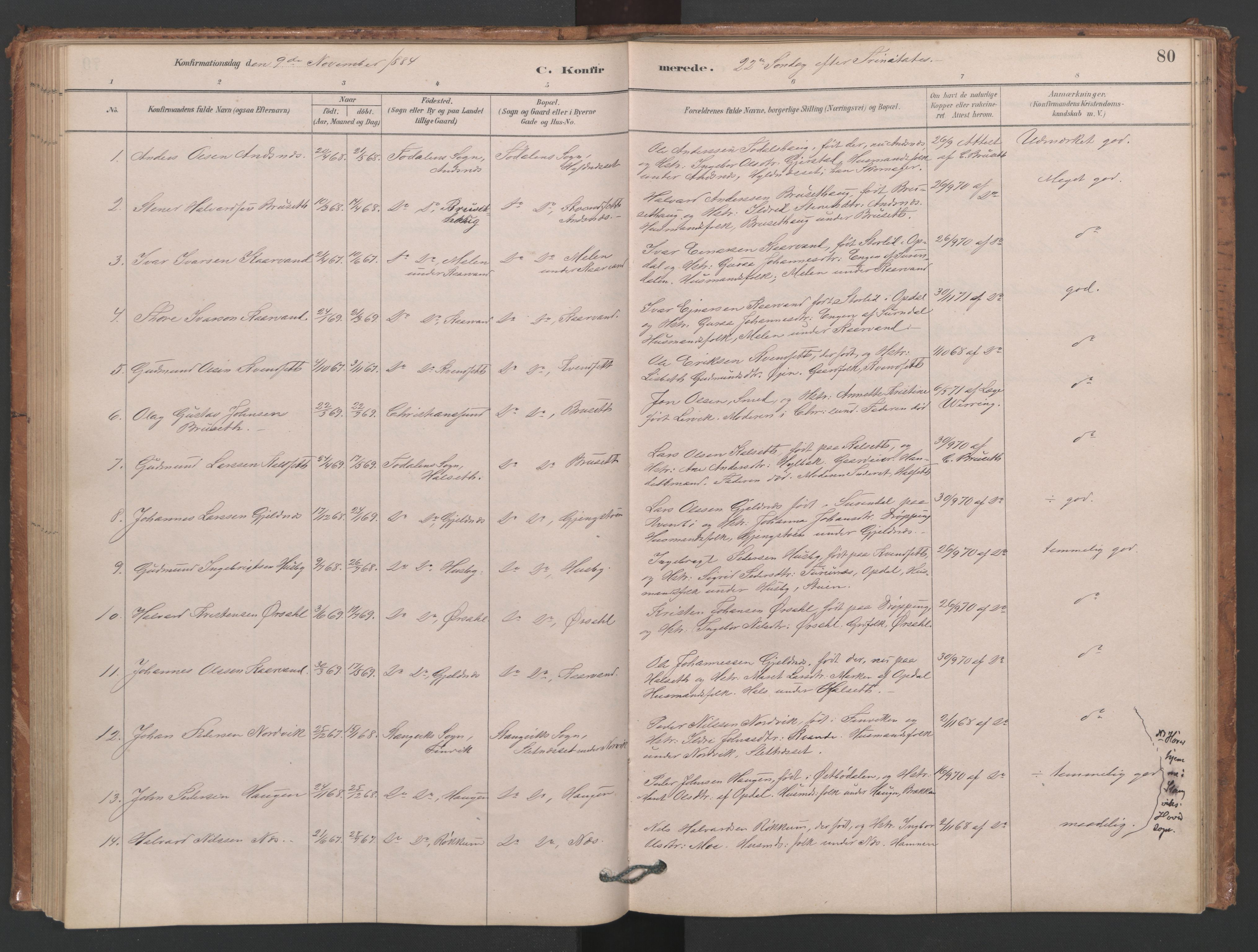 Ministerialprotokoller, klokkerbøker og fødselsregistre - Møre og Romsdal, AV/SAT-A-1454/593/L1034: Parish register (official) no. 593A01, 1879-1911, p. 80