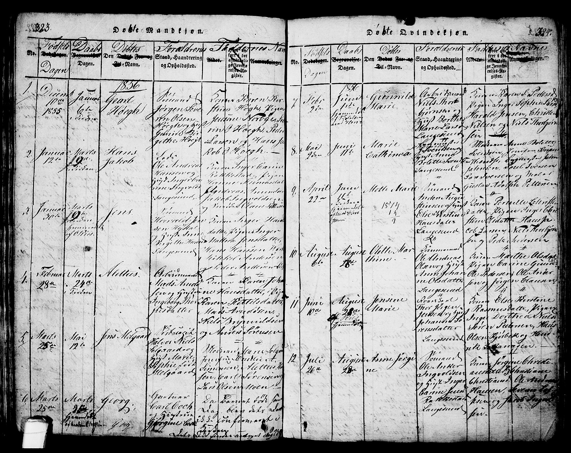 Langesund kirkebøker, AV/SAKO-A-280/G/Ga/L0003: Parish register (copy) no. 3, 1815-1858, p. 323-324