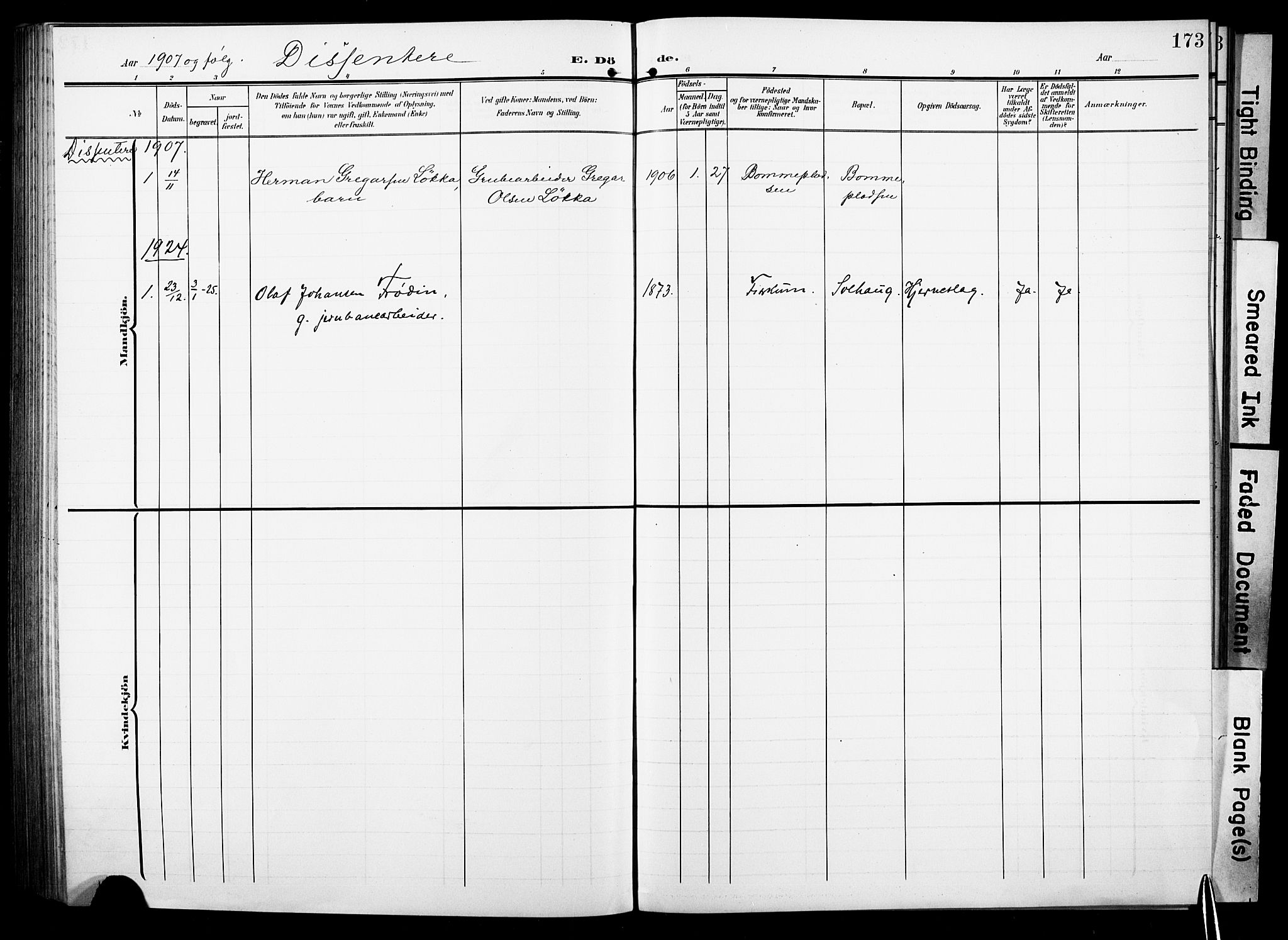 Fiskum kirkebøker, AV/SAKO-A-15/F/Fa/L0004: Parish register (official) no. 4, 1906-1924, p. 173