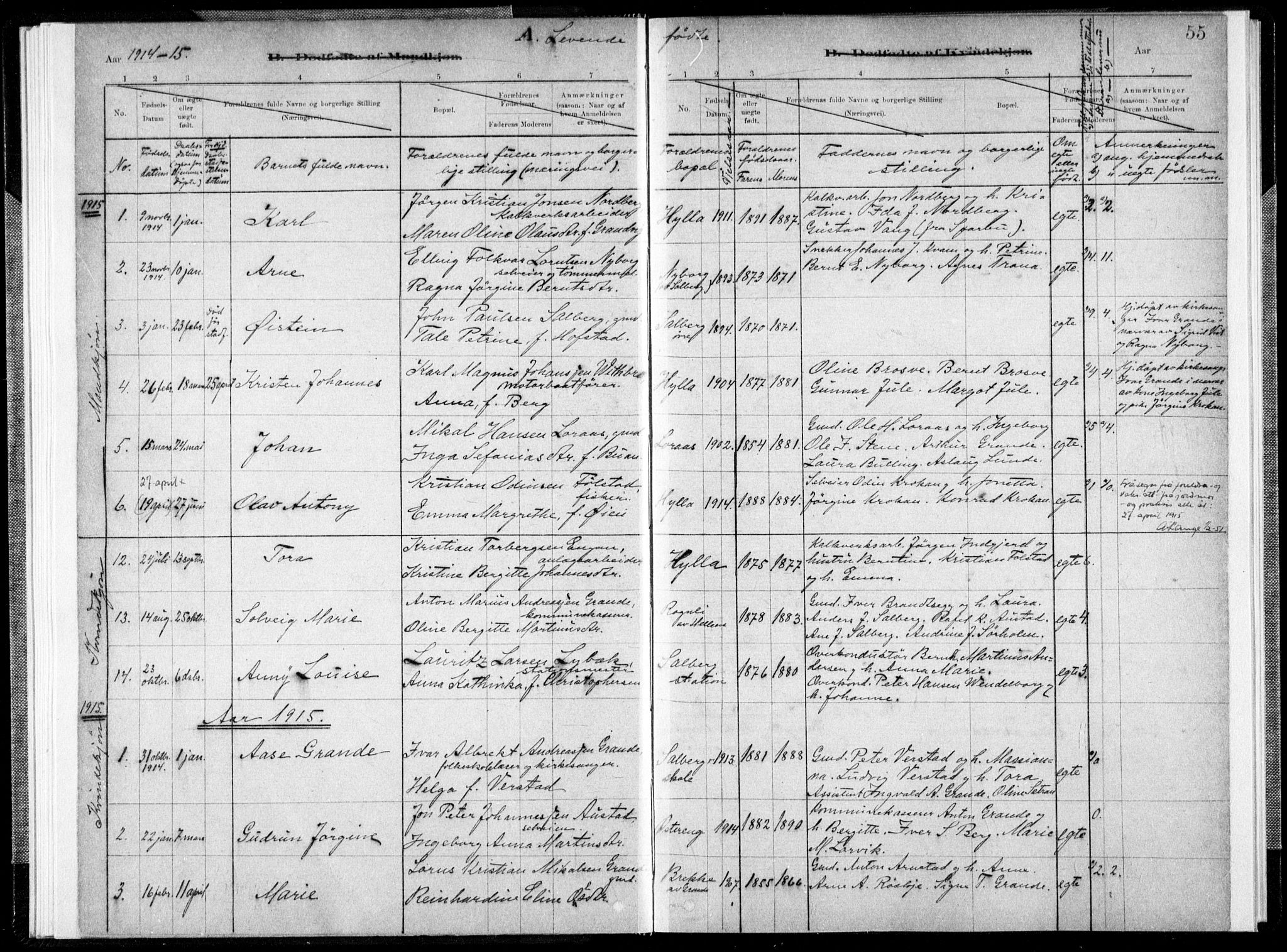 Ministerialprotokoller, klokkerbøker og fødselsregistre - Nord-Trøndelag, AV/SAT-A-1458/731/L0309: Parish register (official) no. 731A01, 1879-1918, p. 55