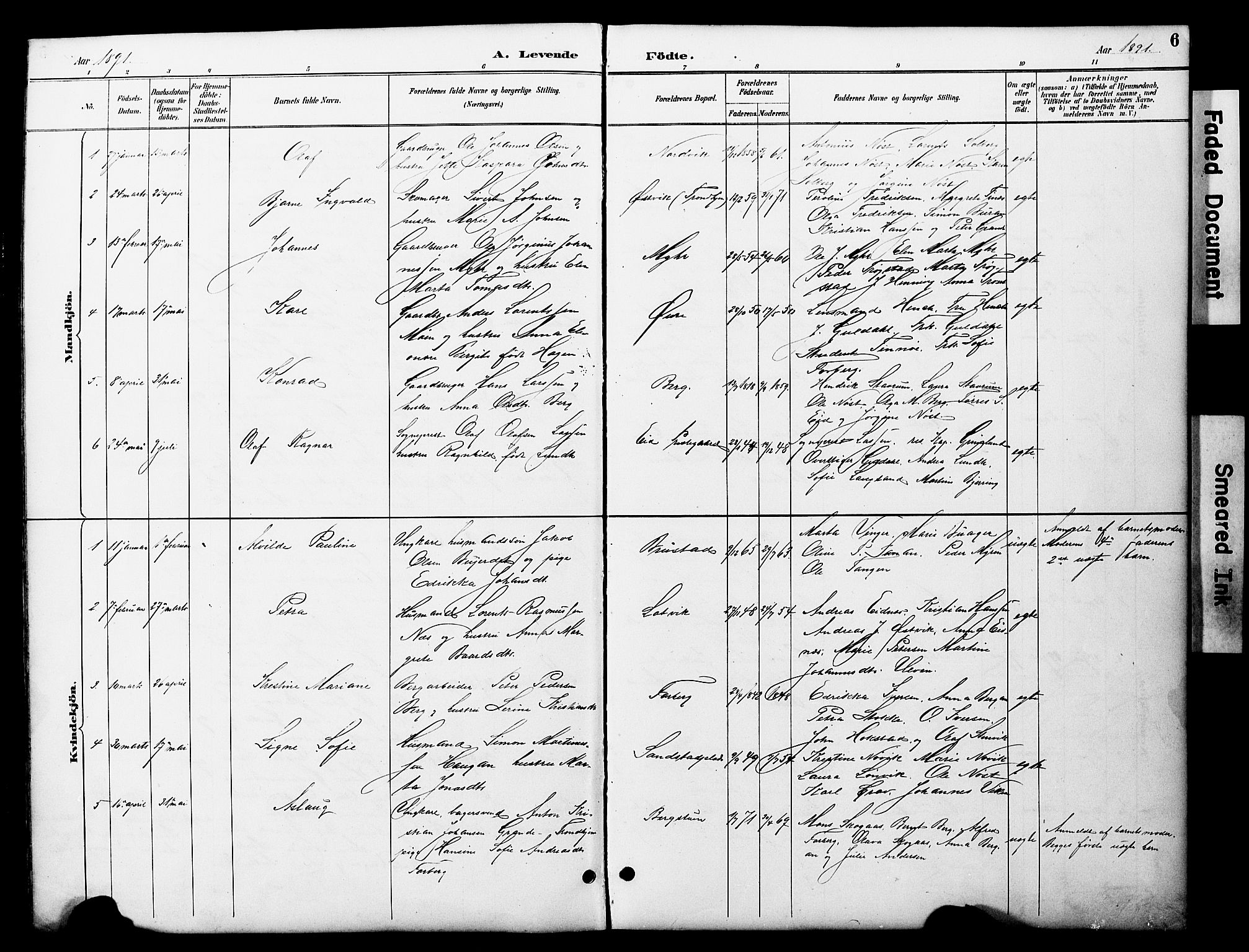 Ministerialprotokoller, klokkerbøker og fødselsregistre - Nord-Trøndelag, SAT/A-1458/722/L0226: Parish register (copy) no. 722C02, 1889-1927, p. 6