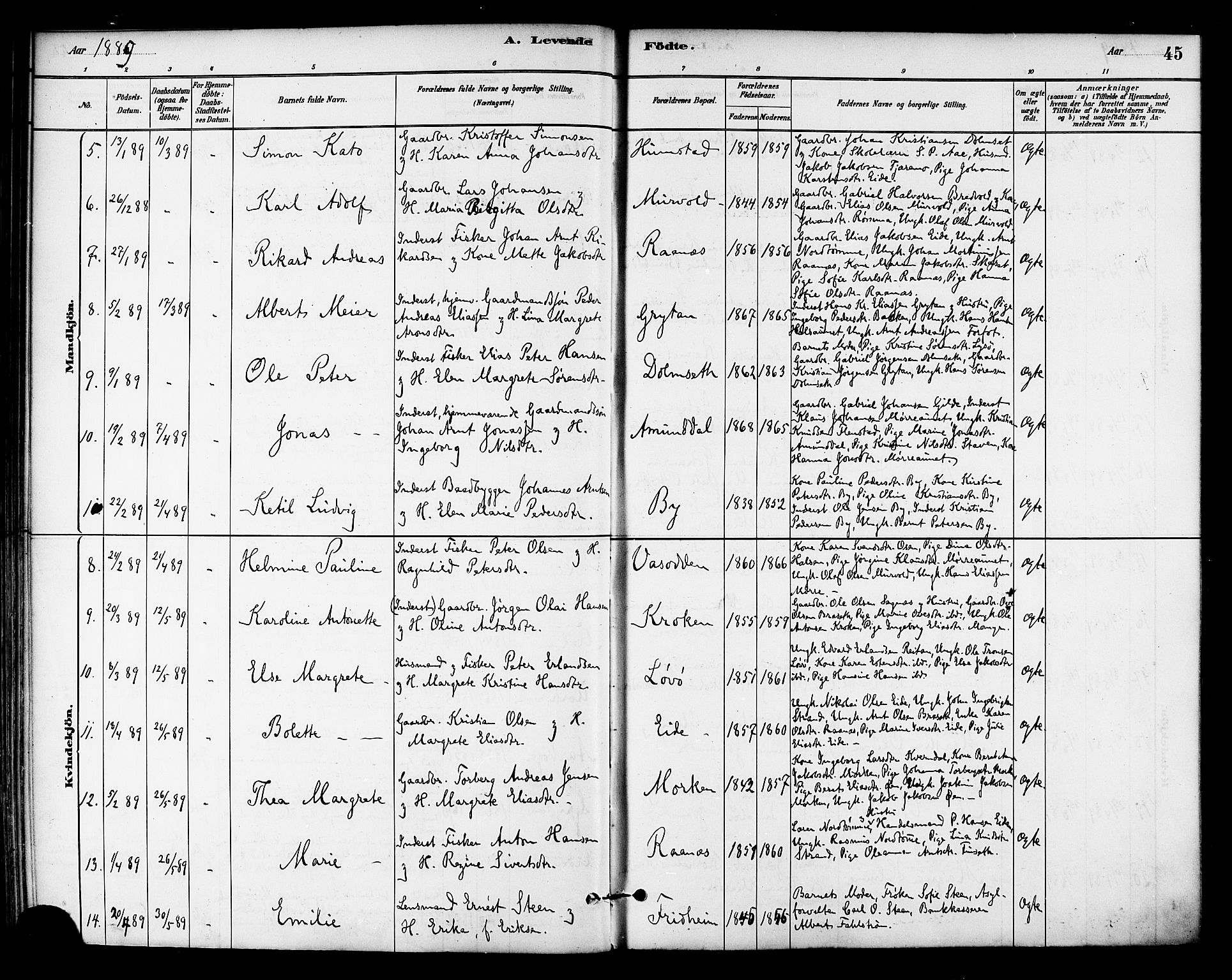 Ministerialprotokoller, klokkerbøker og fødselsregistre - Sør-Trøndelag, SAT/A-1456/655/L0680: Parish register (official) no. 655A09, 1880-1894, p. 45