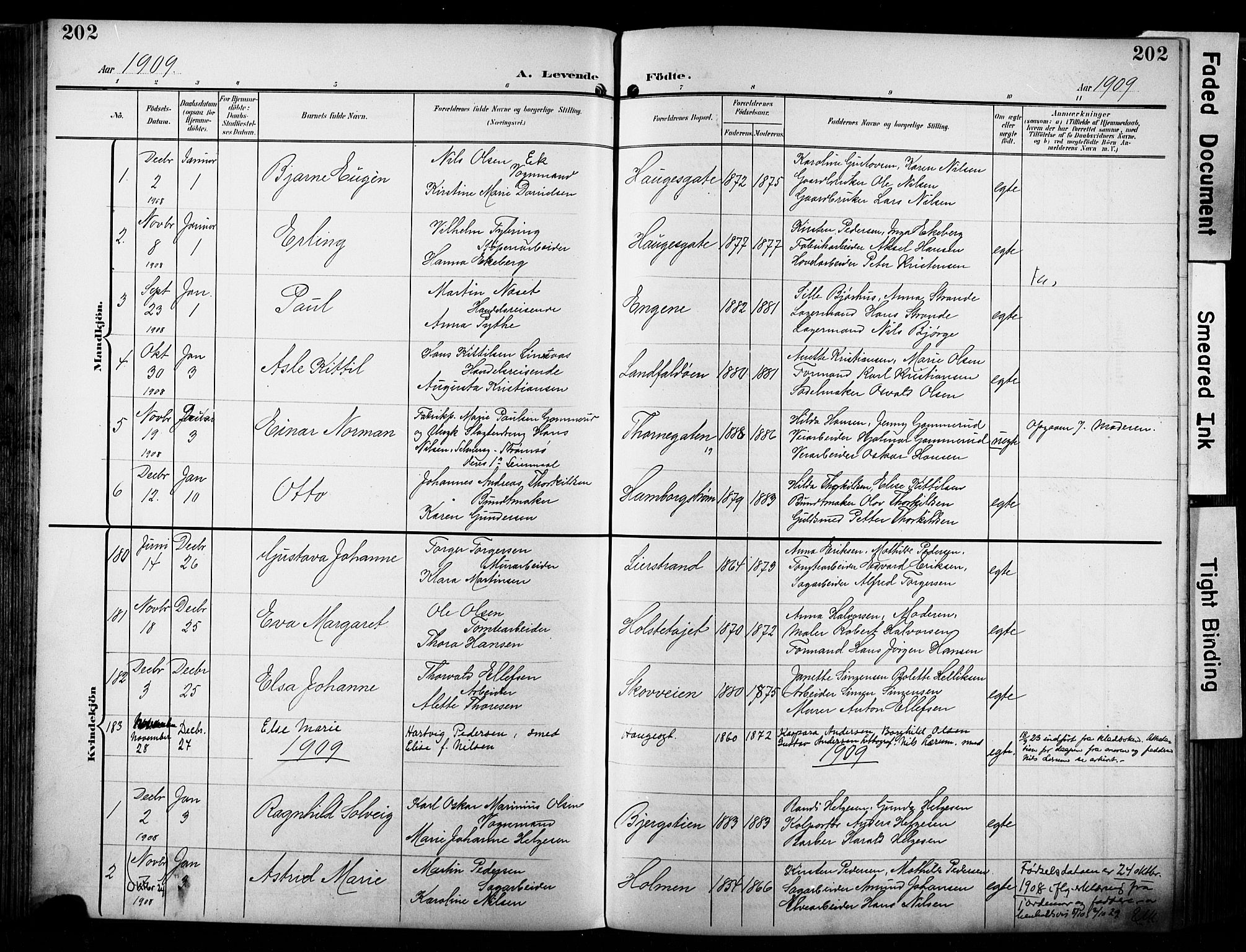 Bragernes kirkebøker, SAKO/A-6/F/Fb/L0009: Parish register (official) no. II 9, 1902-1911, p. 202