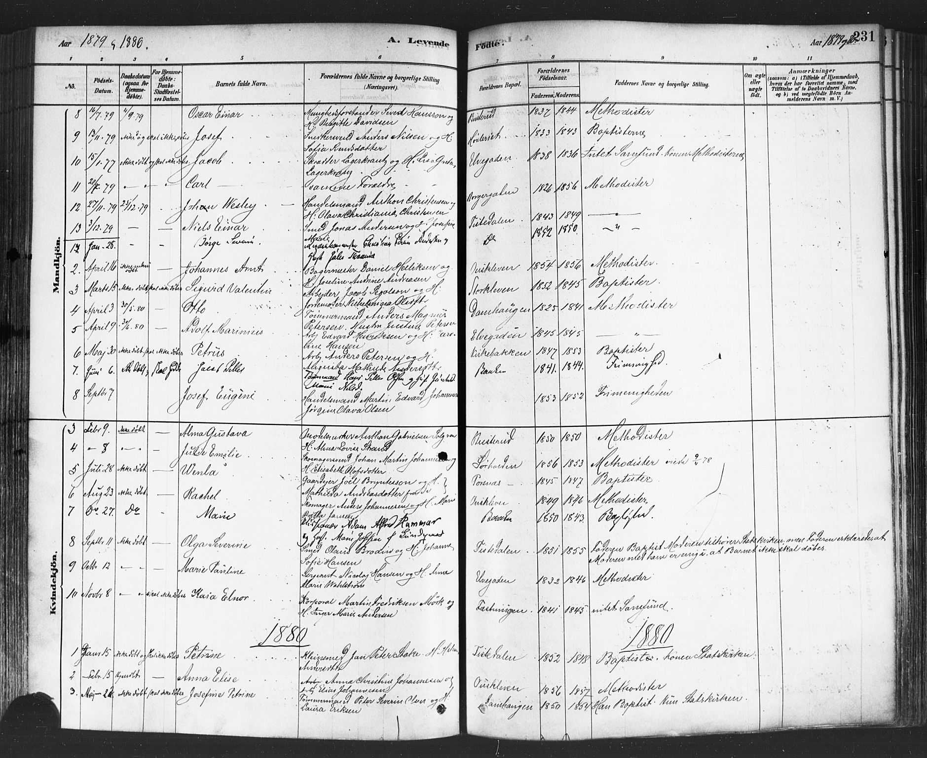 Halden prestekontor Kirkebøker, SAO/A-10909/F/Fa/L0011: Parish register (official) no. I 11, 1878-1889, p. 231