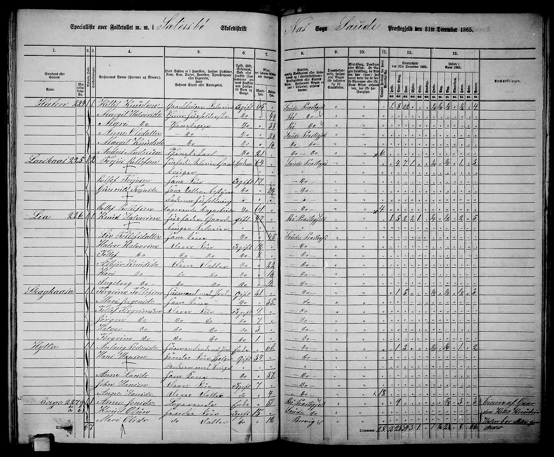 RA, 1865 census for Sauherad, 1865, p. 134