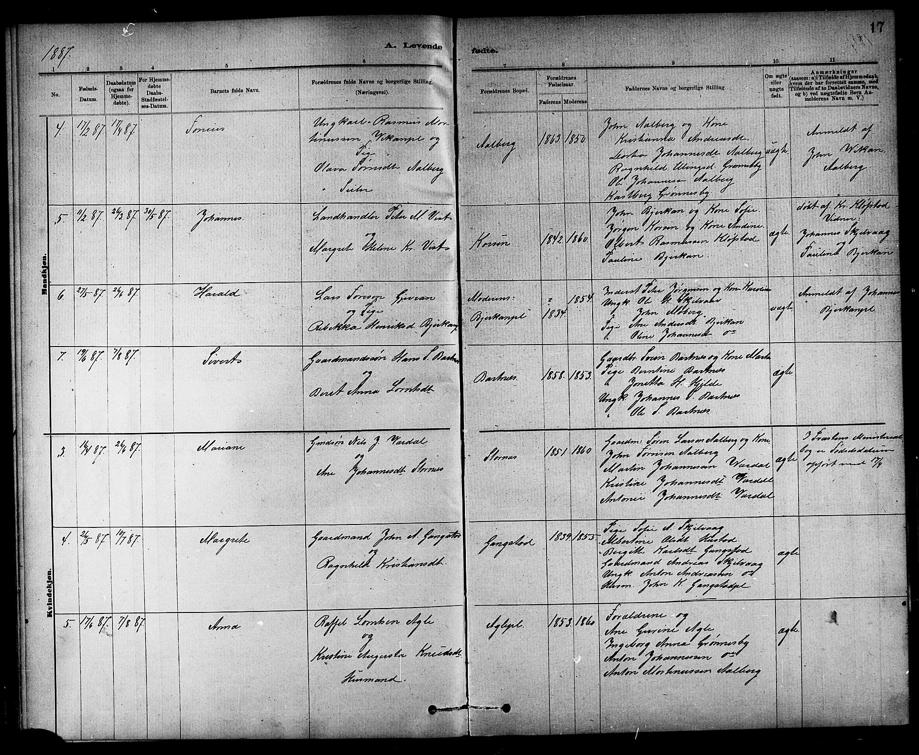 Ministerialprotokoller, klokkerbøker og fødselsregistre - Nord-Trøndelag, SAT/A-1458/732/L0318: Parish register (copy) no. 732C02, 1881-1911, p. 17