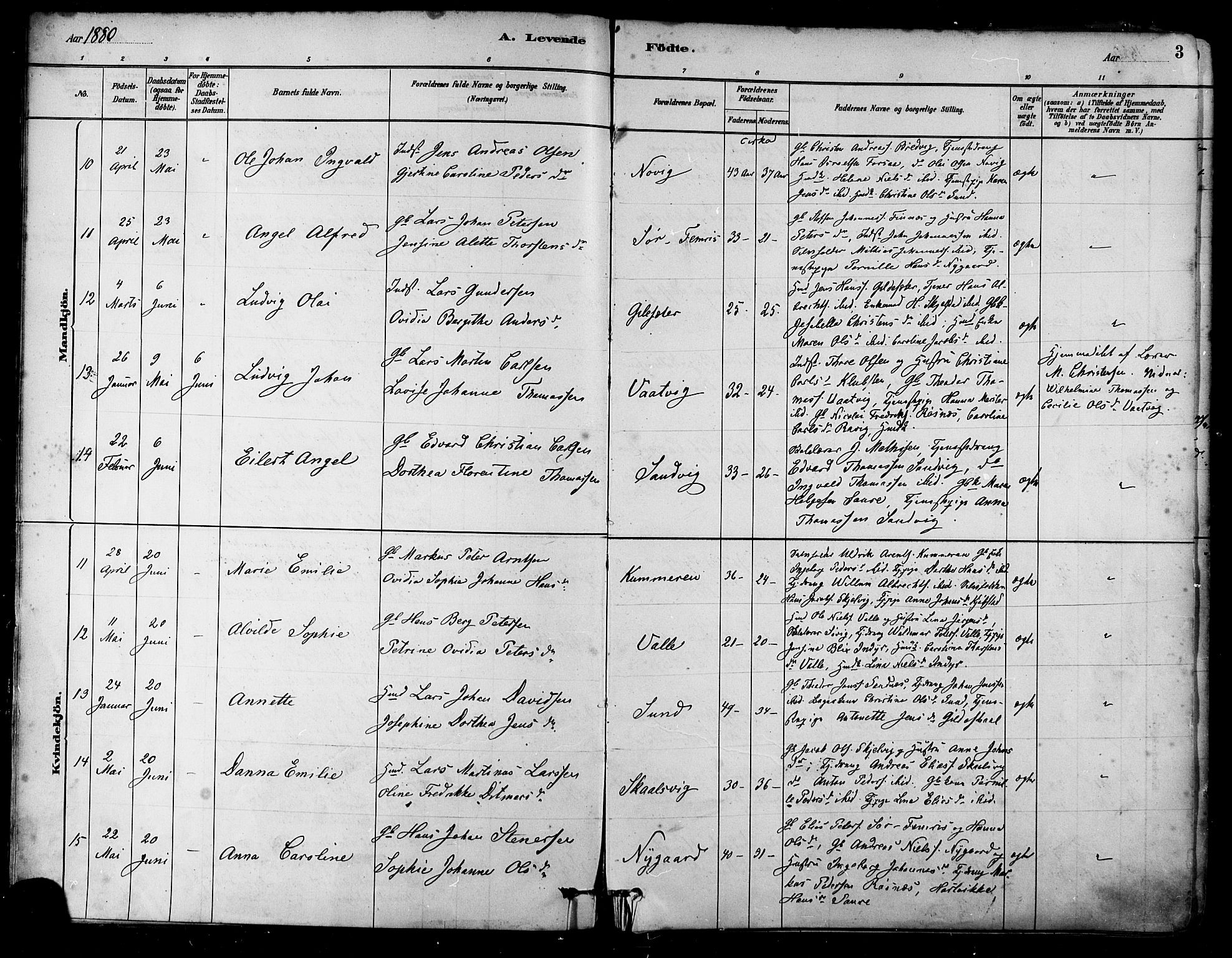 Ministerialprotokoller, klokkerbøker og fødselsregistre - Nordland, AV/SAT-A-1459/805/L0099: Parish register (official) no. 805A06, 1880-1891, p. 3