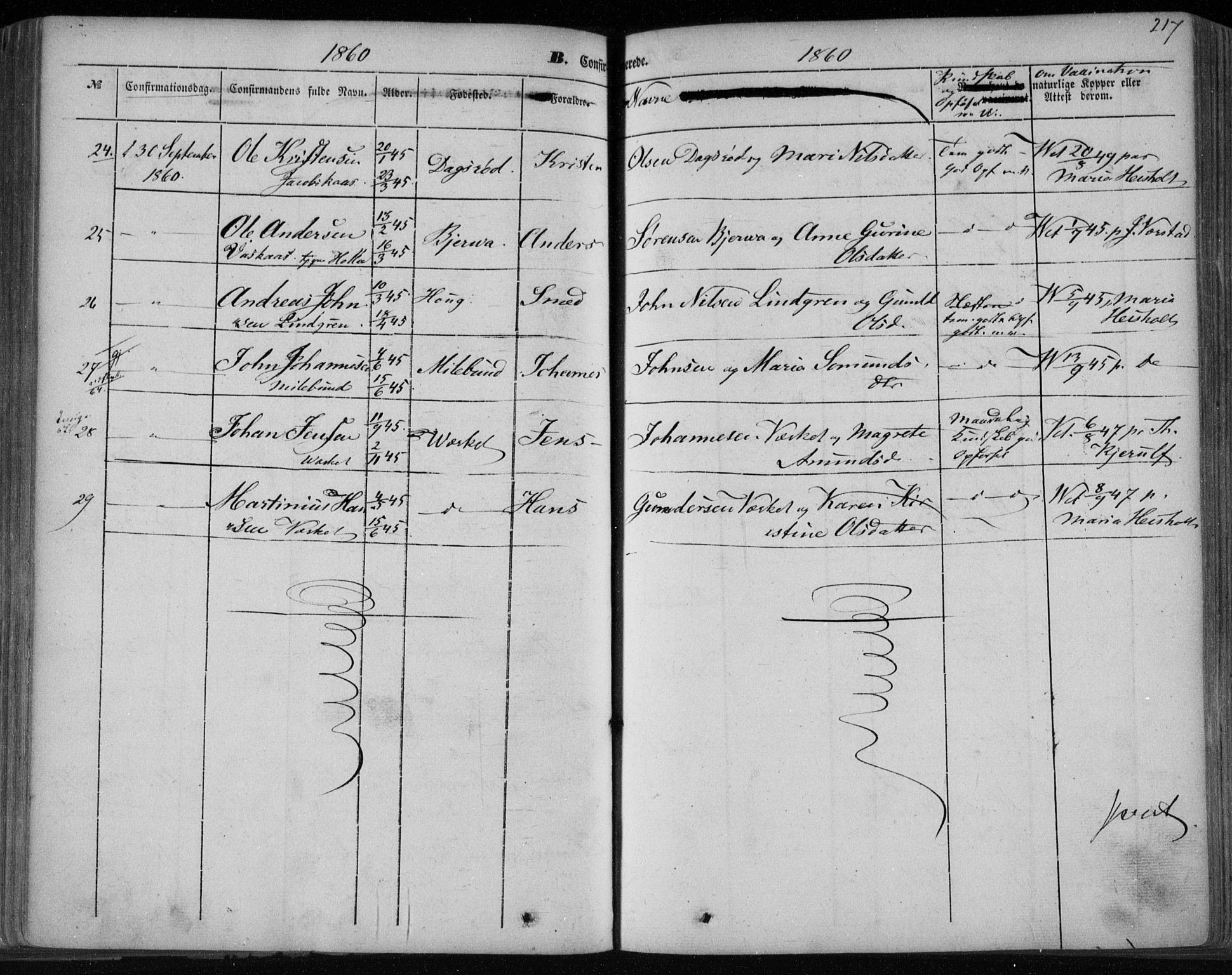 Holla kirkebøker, AV/SAKO-A-272/F/Fa/L0005: Parish register (official) no. 5, 1849-1860, p. 217