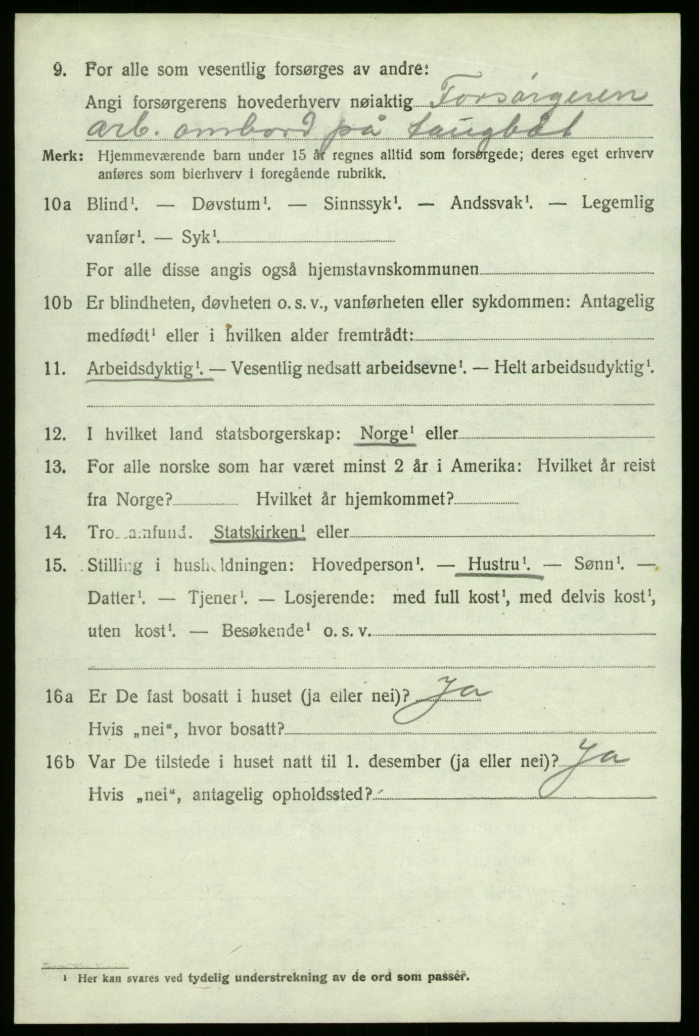 SAO, 1920 census for Hvaler, 1920, p. 4025