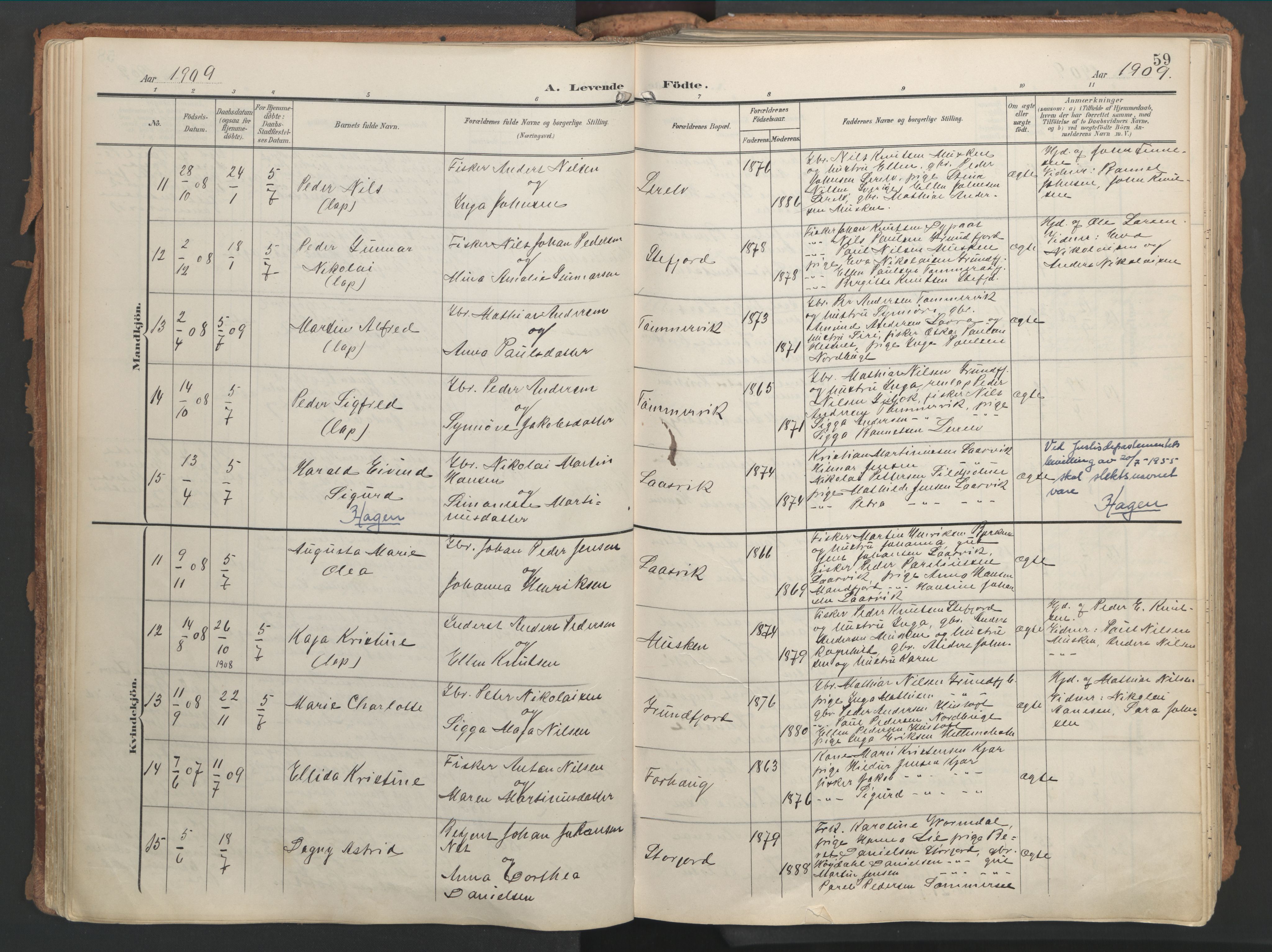 Ministerialprotokoller, klokkerbøker og fødselsregistre - Nordland, SAT/A-1459/861/L0871: Parish register (official) no. 861A06, 1903-1916, p. 59