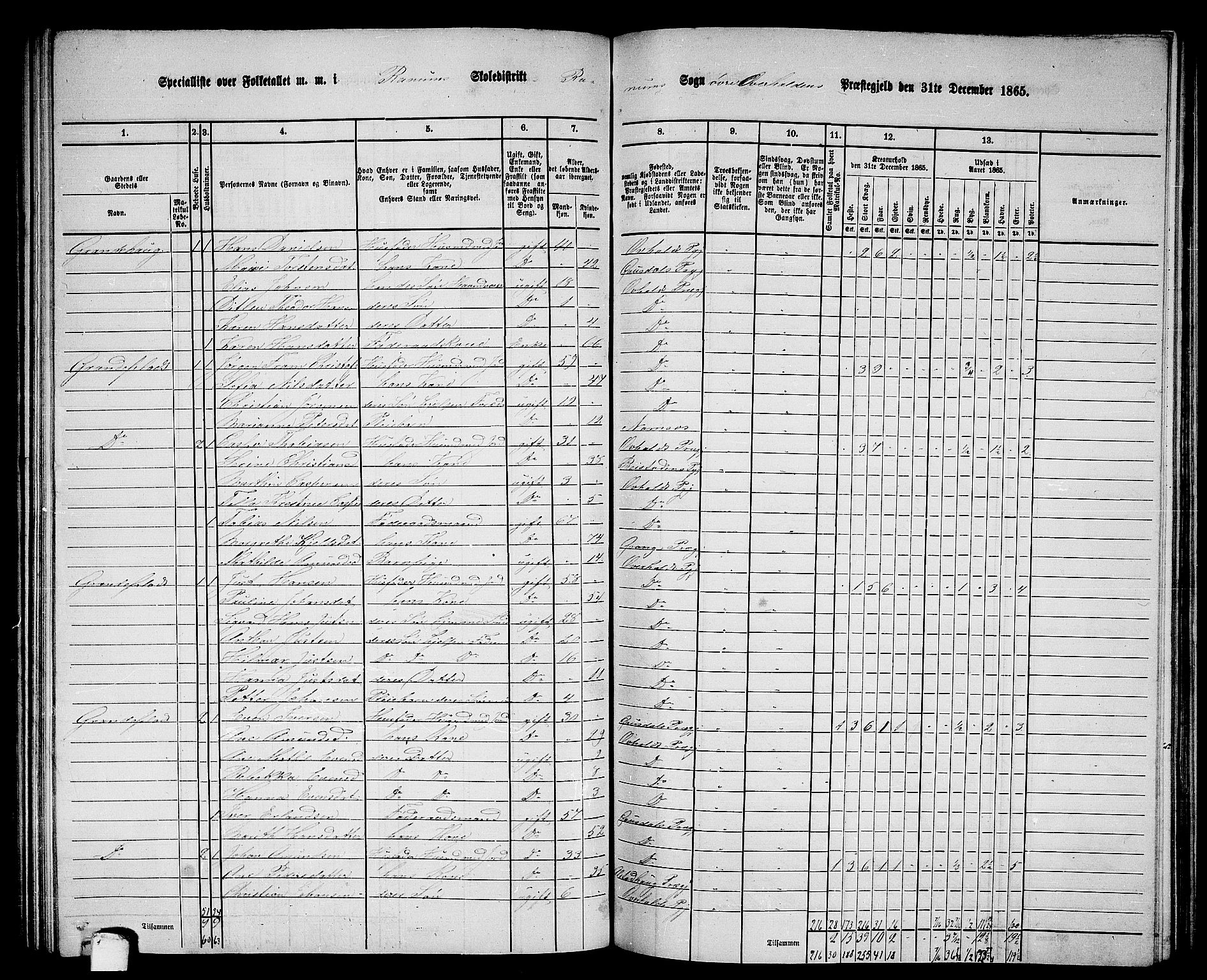 RA, 1865 census for Overhalla, 1865, p. 41