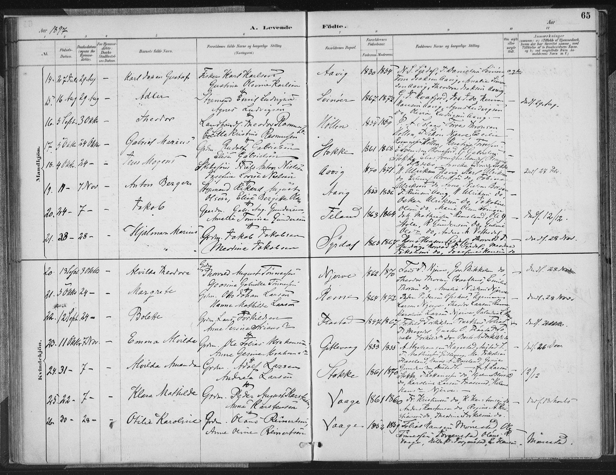 Sør-Audnedal sokneprestkontor, AV/SAK-1111-0039/F/Fa/Faa/L0004: Parish register (official) no. A 4, 1884-1909, p. 65