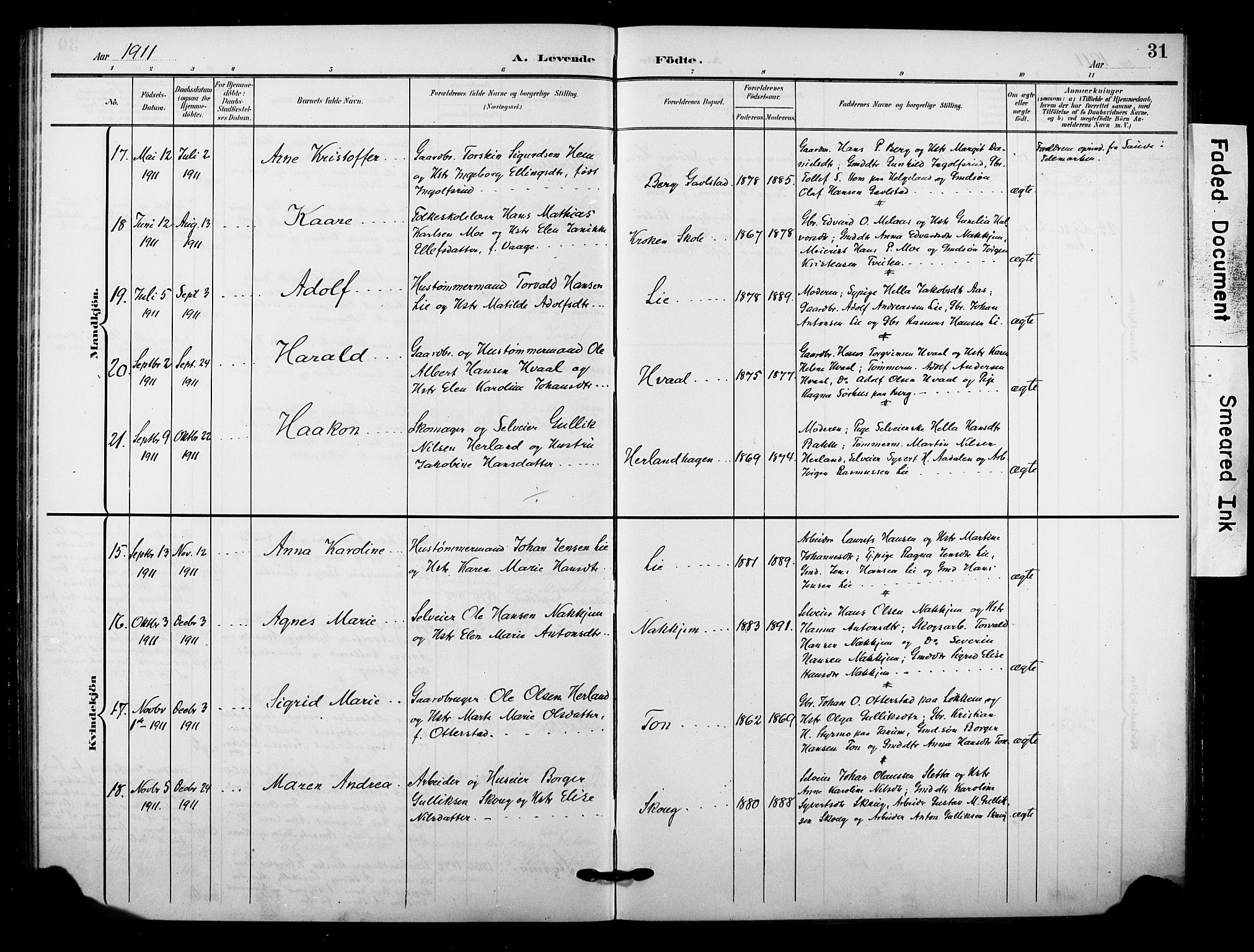 Lardal kirkebøker, AV/SAKO-A-350/F/Fb/L0002: Parish register (official) no. II 2, 1903-1911, p. 31